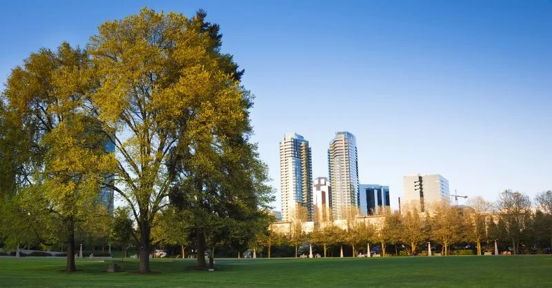 Bellevue Skyline Grass Park istockphoto.jpg