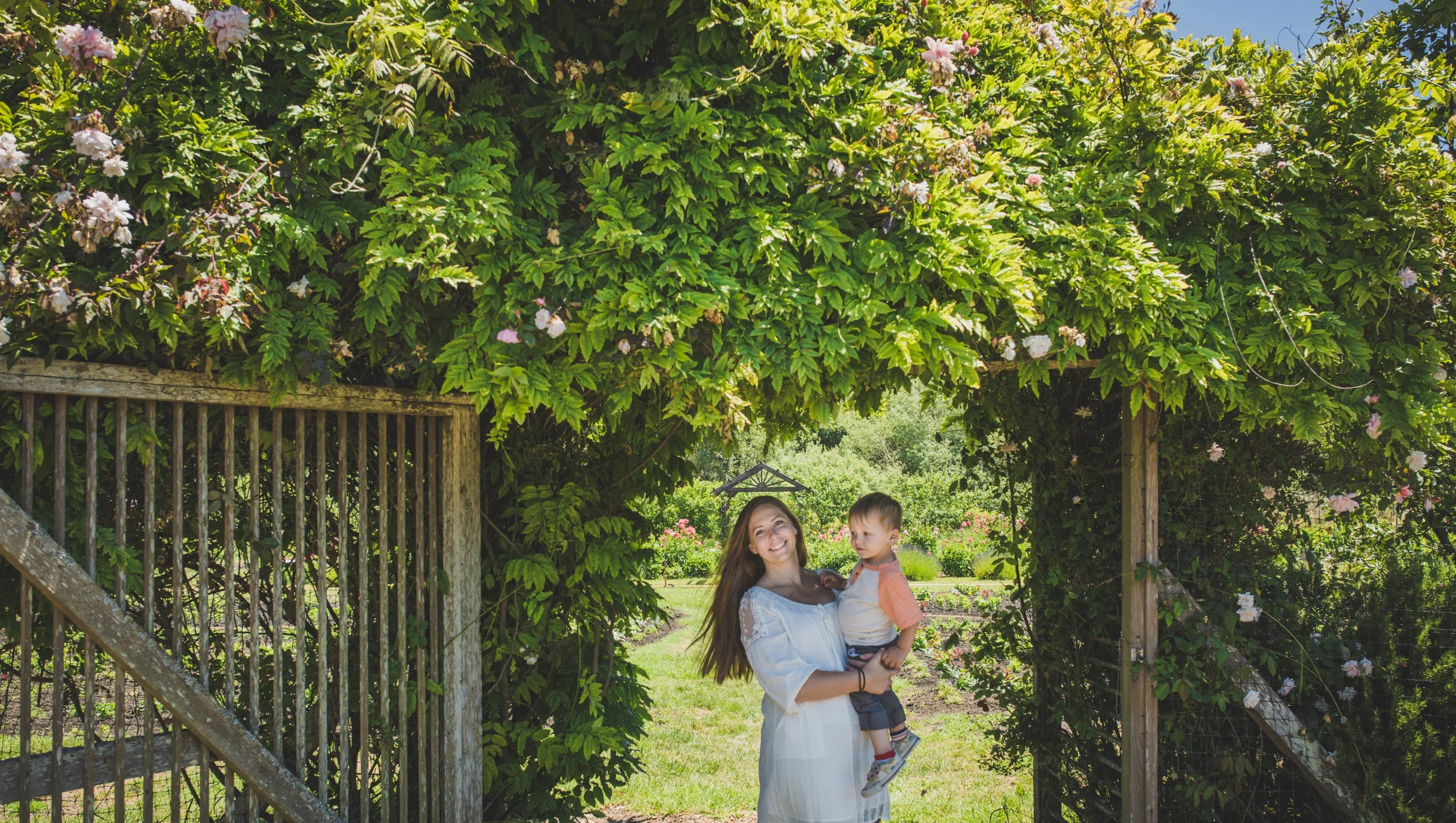 My Redwood Roots Farm Birthday