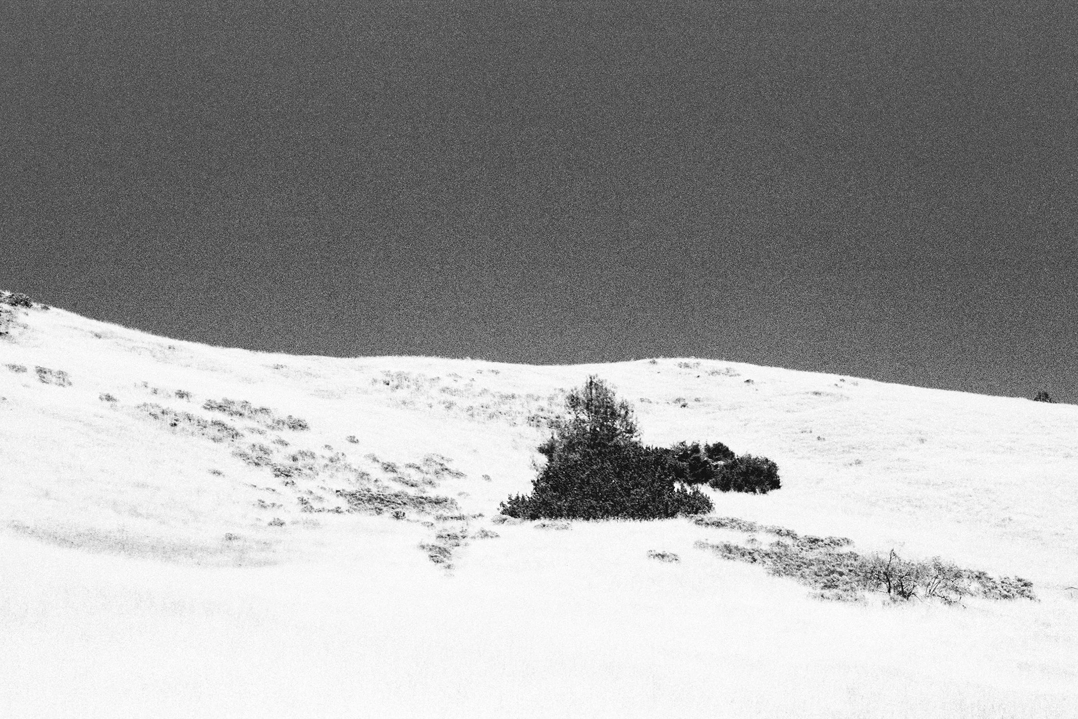 Untitled landscape
