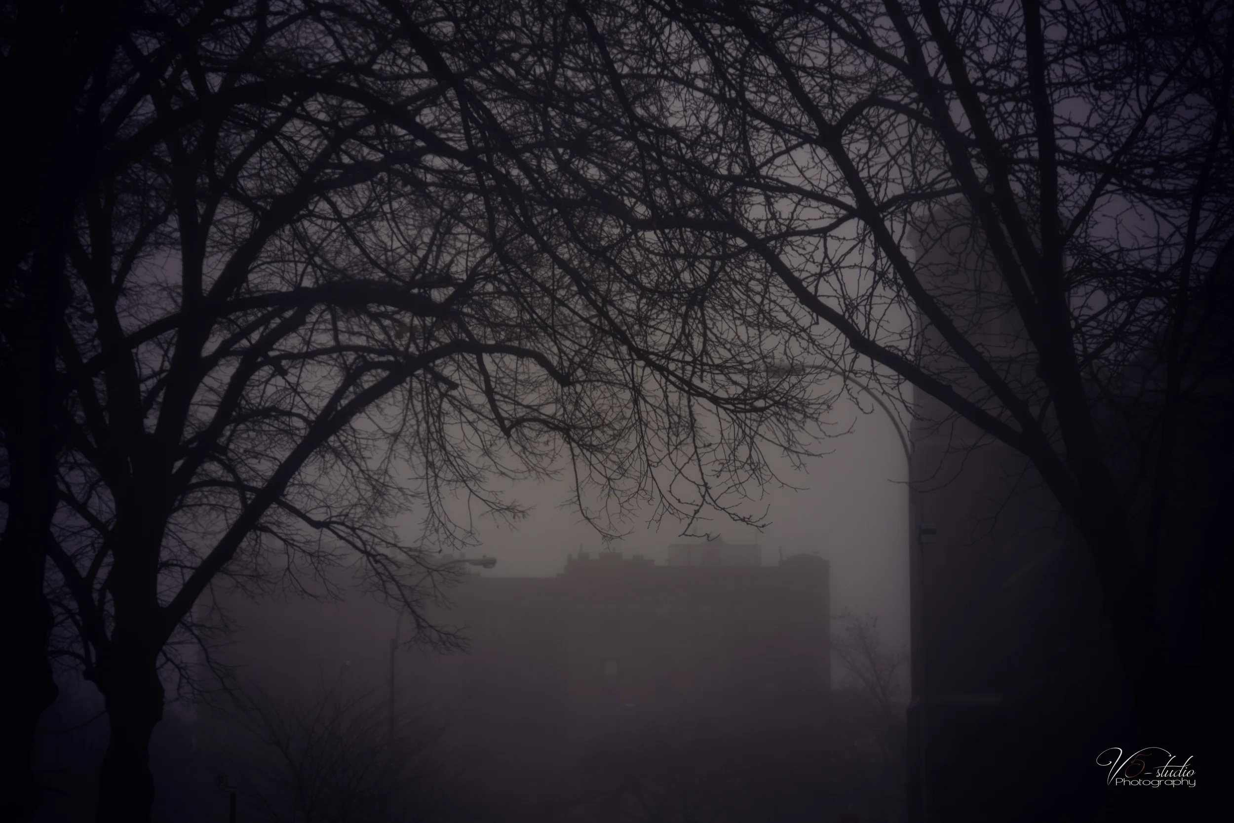 When The Clouds Come Down To Visit...