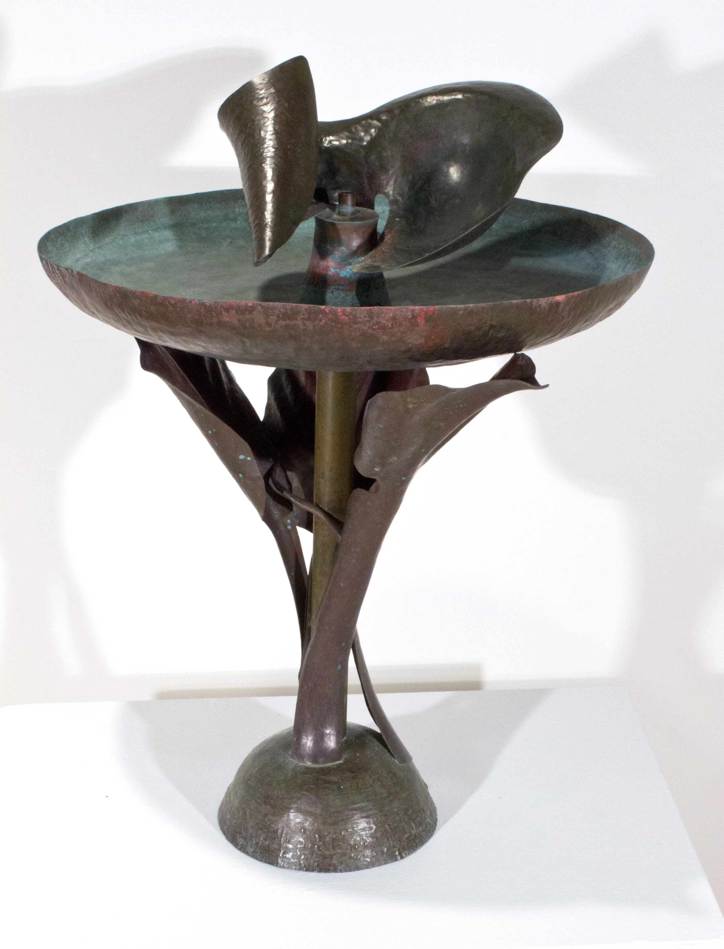 hosta fountain 1.jpg