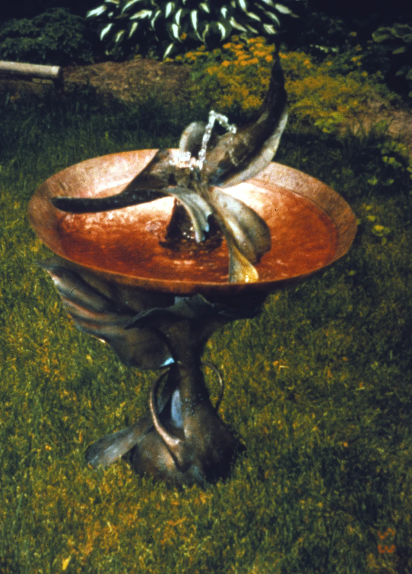 Fountain: Flight