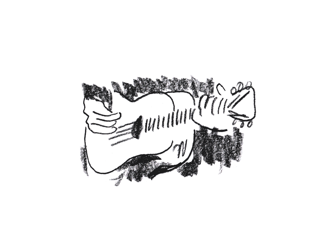 pk.gif