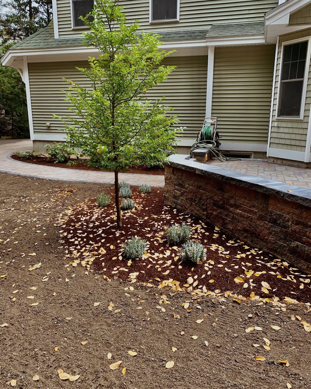 Get your garden winter-ready! From bed clean-ups to protective coverings, we&rsquo;ve got the expertise to keep your plants safe until spring 🌳🌞
