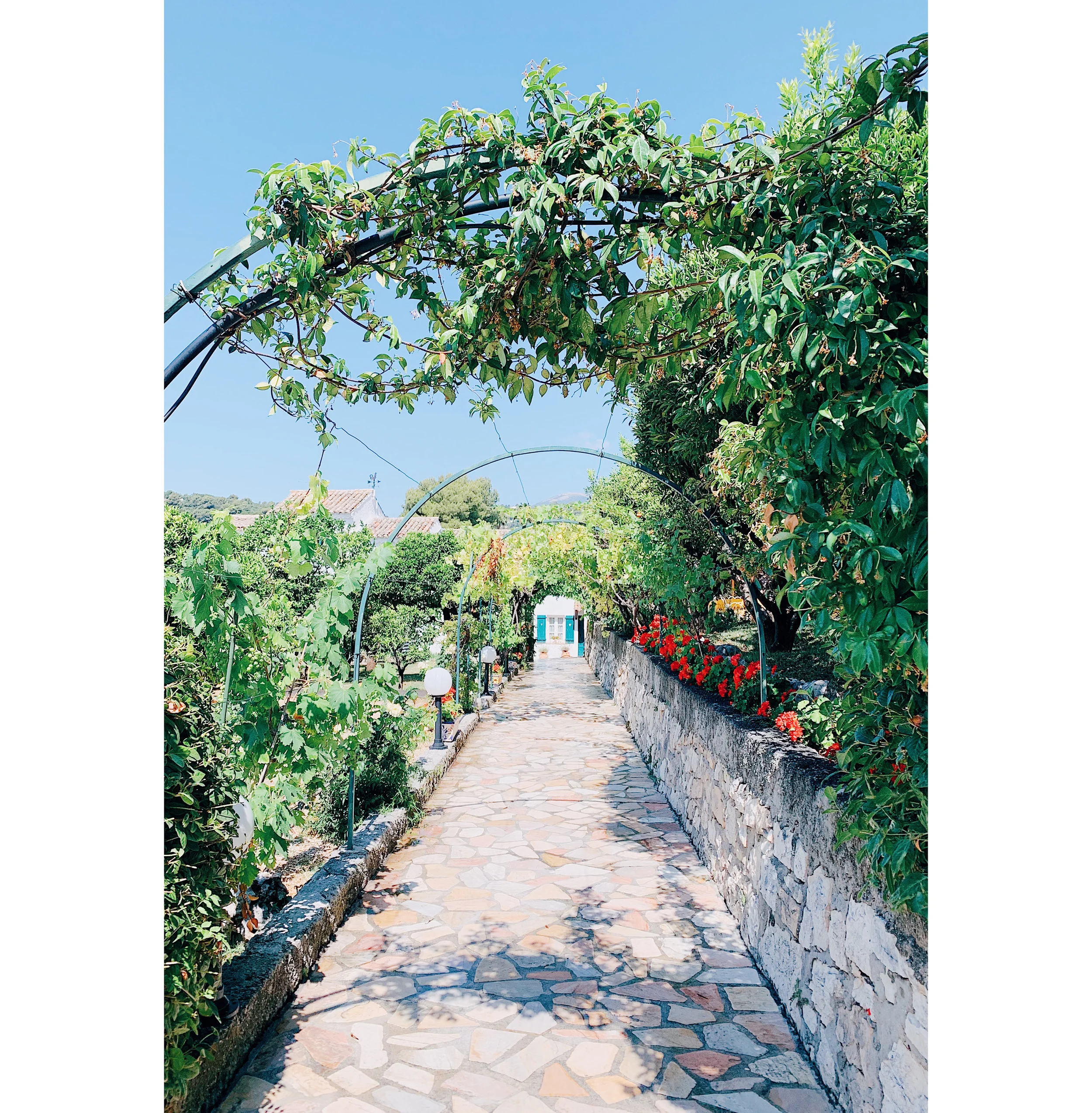 Provence 16.jpg