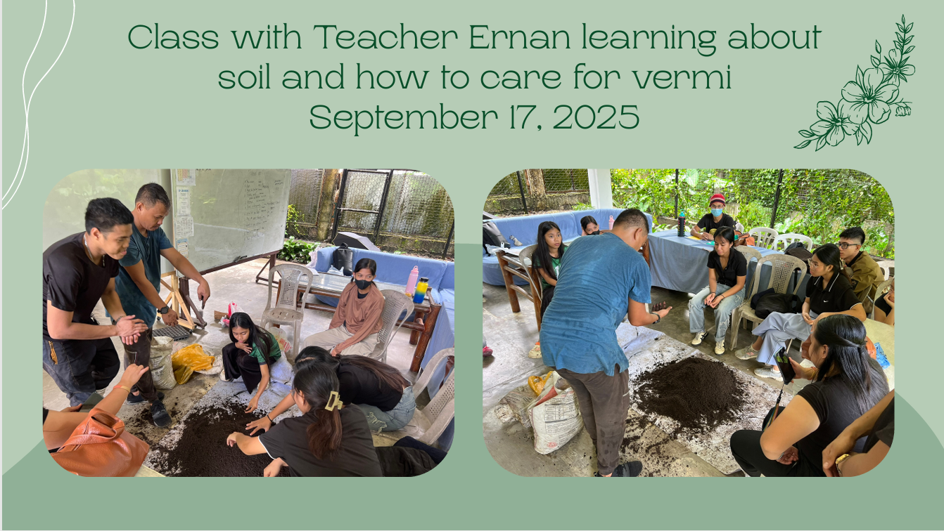 Screenshot 2026-03-17 081355.png