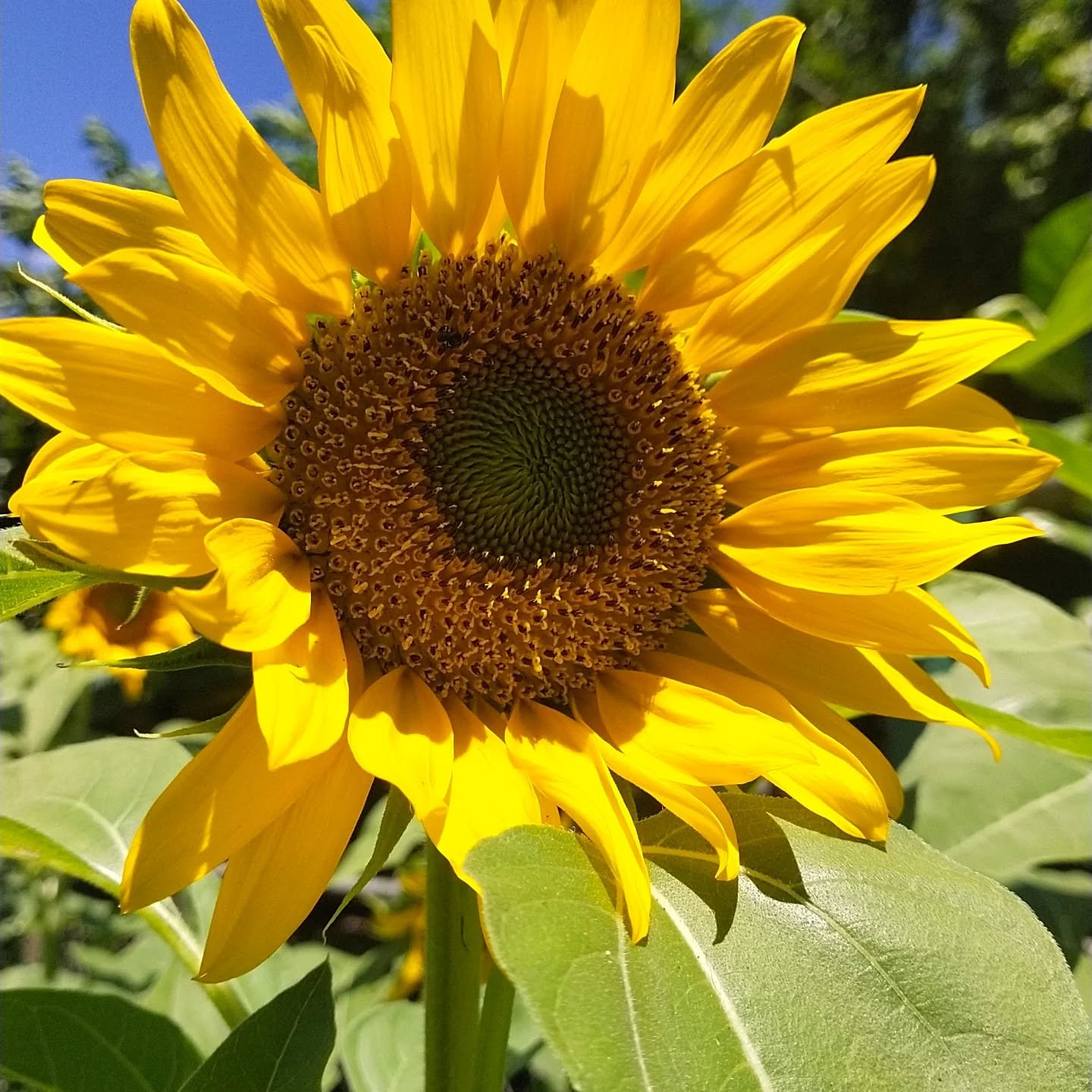 Happy Wednesday from all of us here in Welcome Home Foundation, Inc.