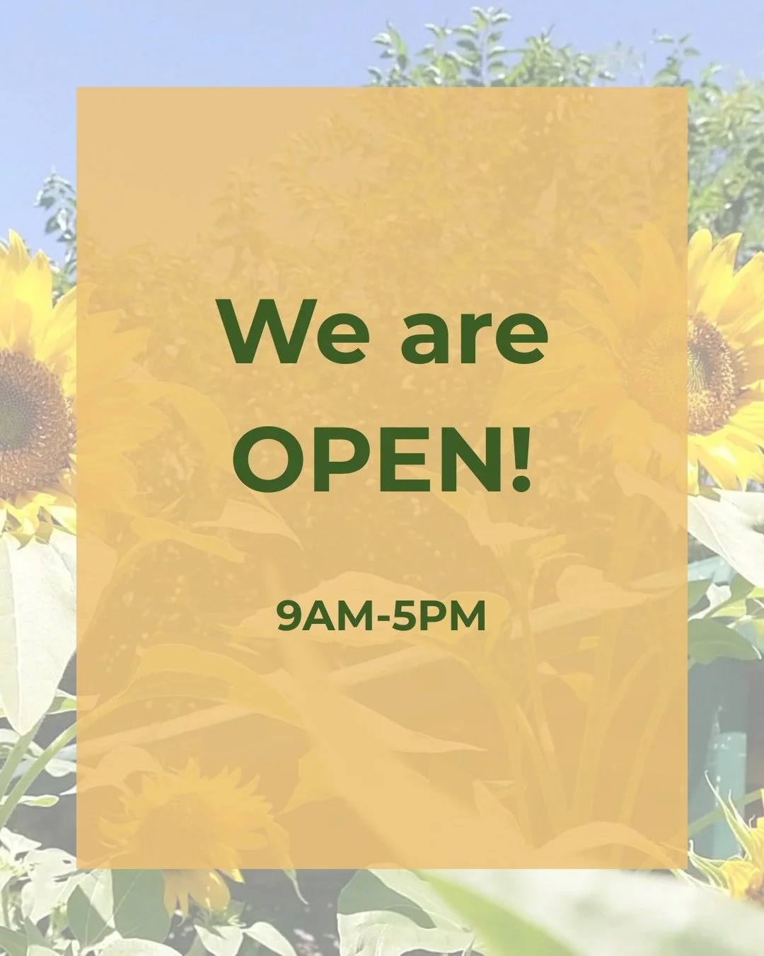 Yes, we are open today (Ninoy Aquino Day)! So, if you are looking for a place to enjoy some peace, please come and visit us, we will be happy to serve you!