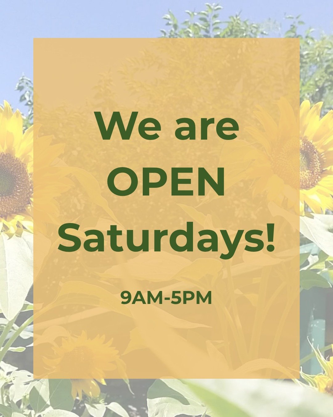We are happy to announce that we will be open on Saturdays again! As of September 5, we will be serving your favourites 9am-5pm on weekends too.