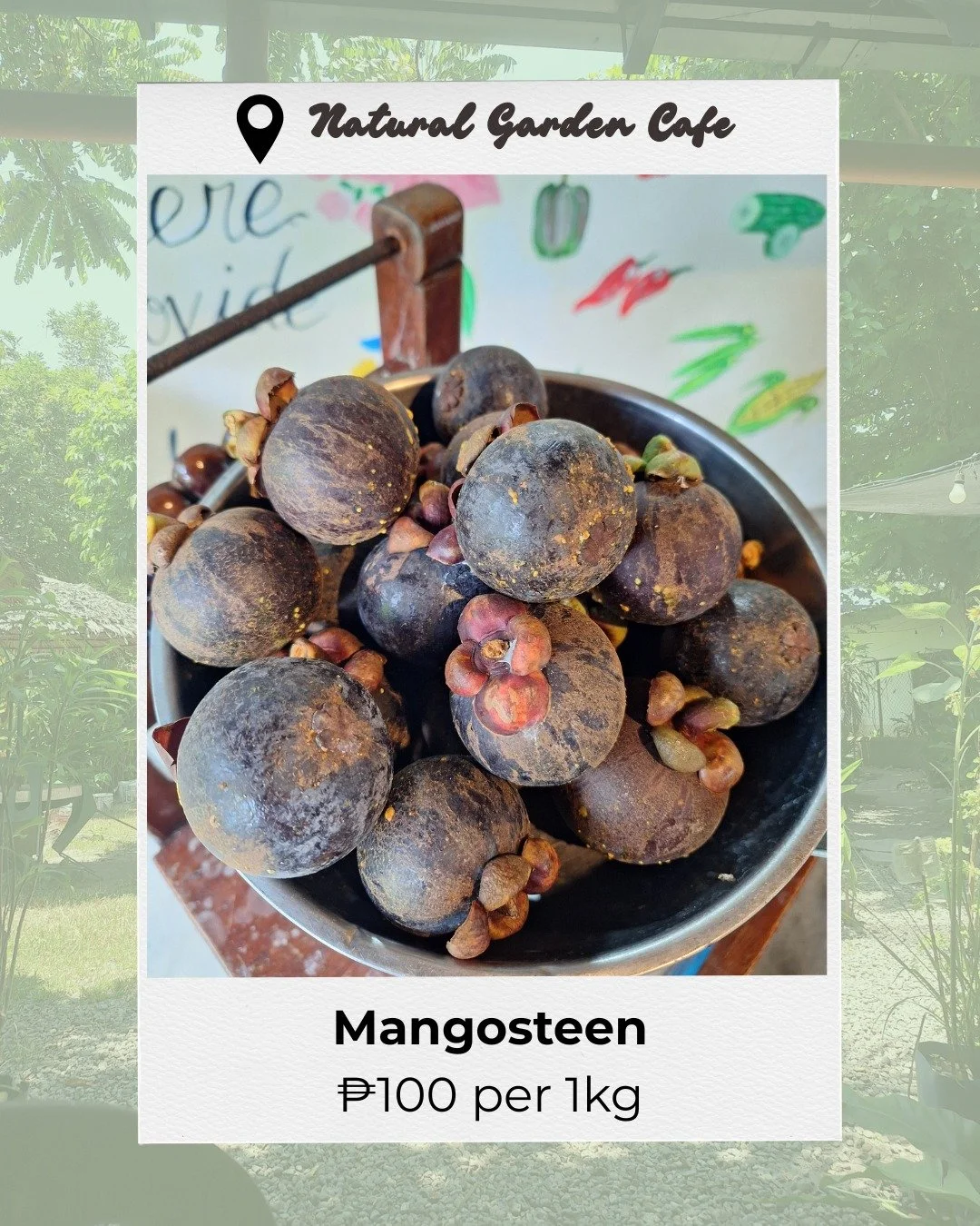 Fresh fruit for sale! Mangosteen and rambutan available for purchase at the Natural Garden Cafe, buy today!
