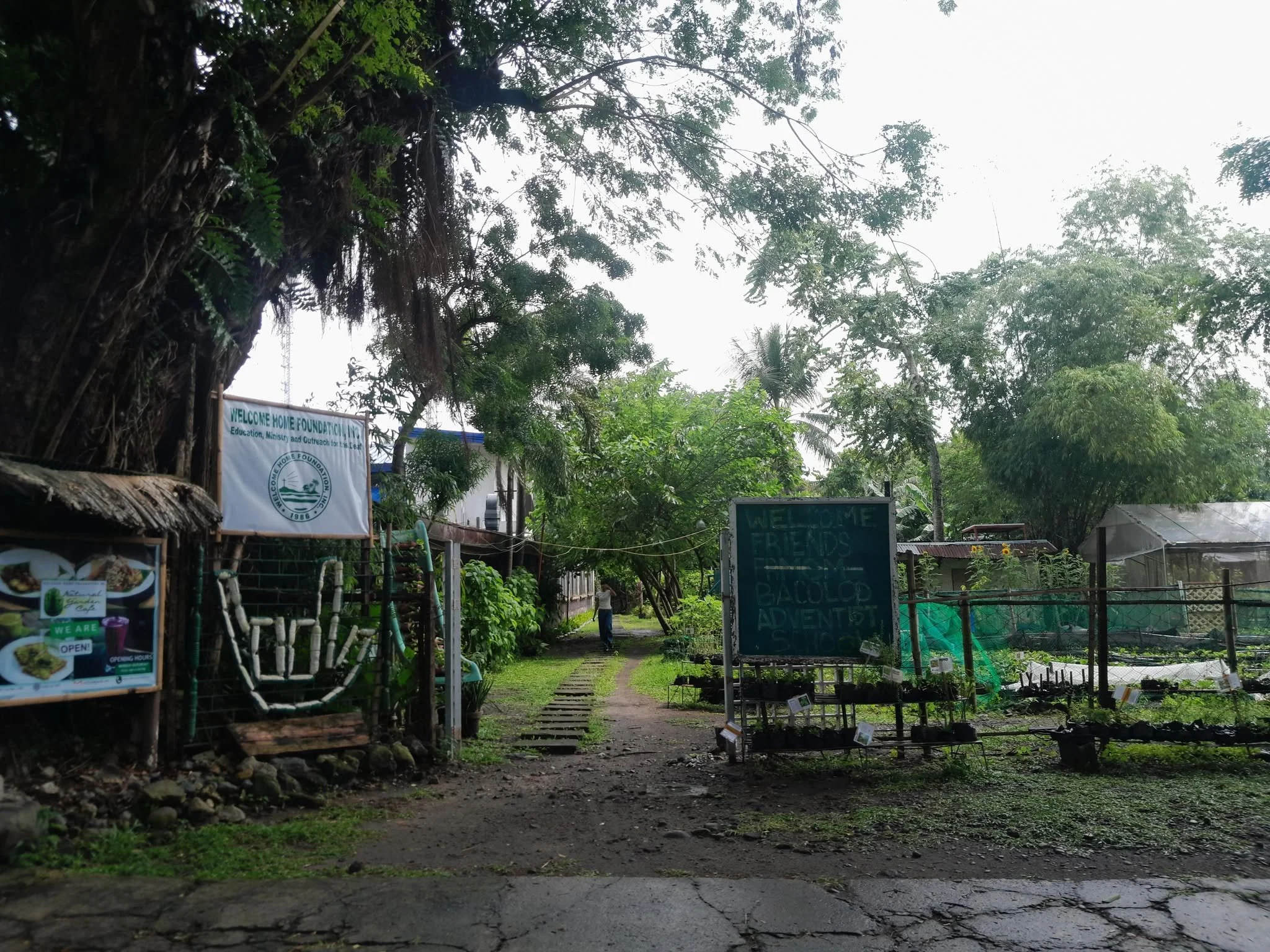 Mornings at the cafe 😍Enjoy peaceful moments with us Monday - Saturday, 9-5pm.
#naturalgardencafe #bacolodcity #peacefulmoments