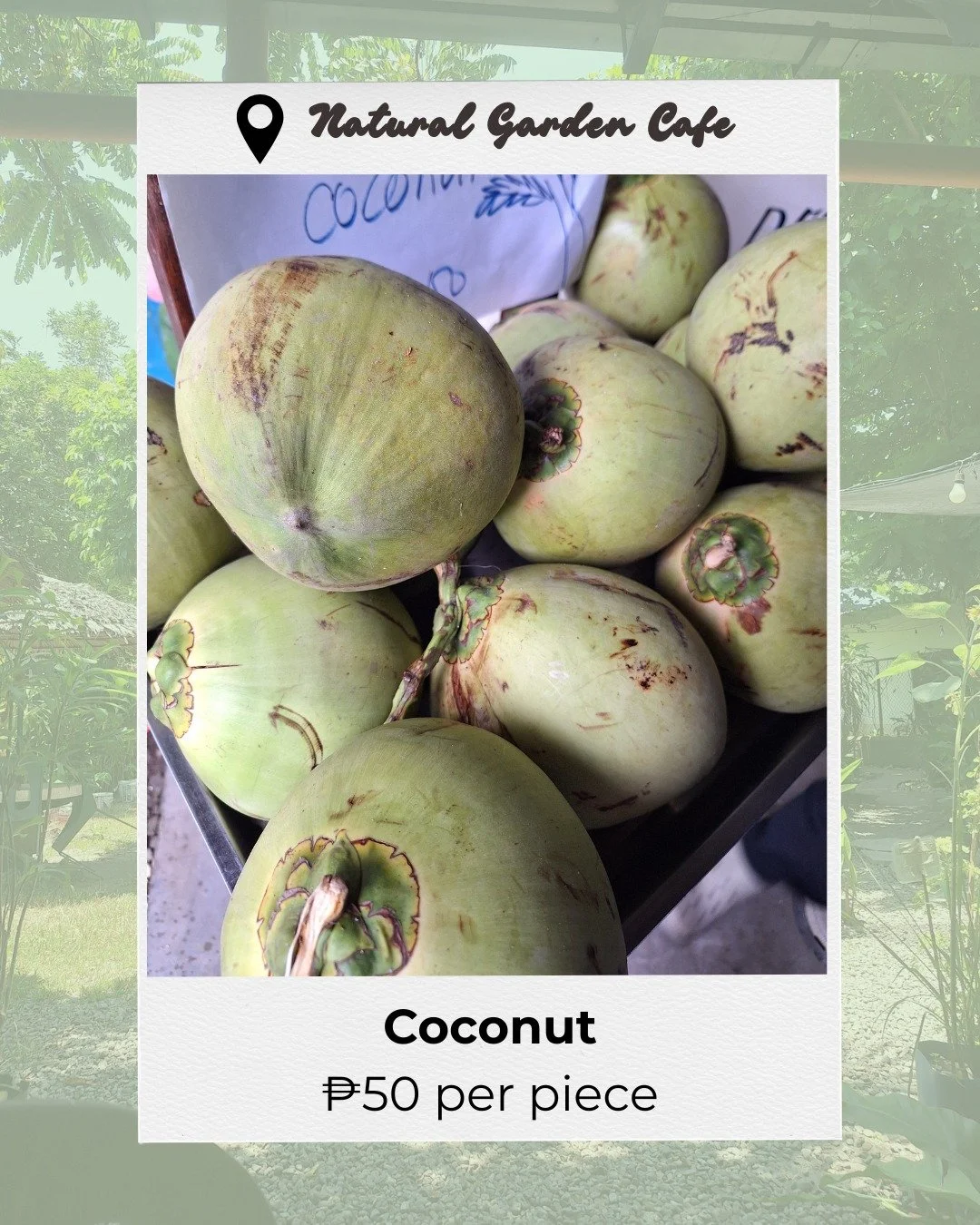 Fresh coconut for sale! Buy from the Natural Garden Cafe today.