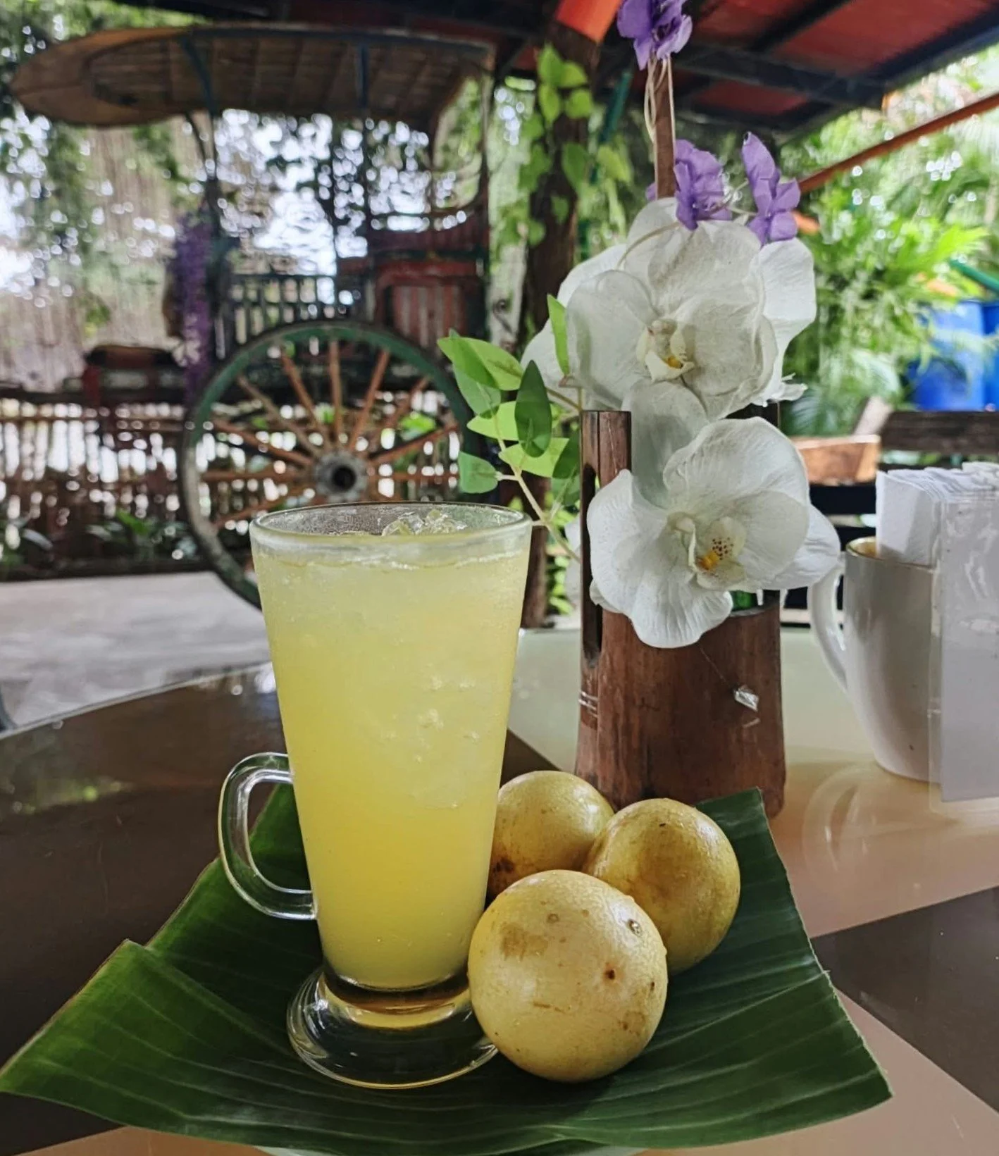 Try our new seasonal drink, fresh passionfruit juice! Sweet, refreshing, with passionfruit picked from our garden! Available today.

Location: Natural Garden Cafe. Find us down Kametal Rd, off Lacson St. 
Open times: Monday - Saturday, 9-5pm