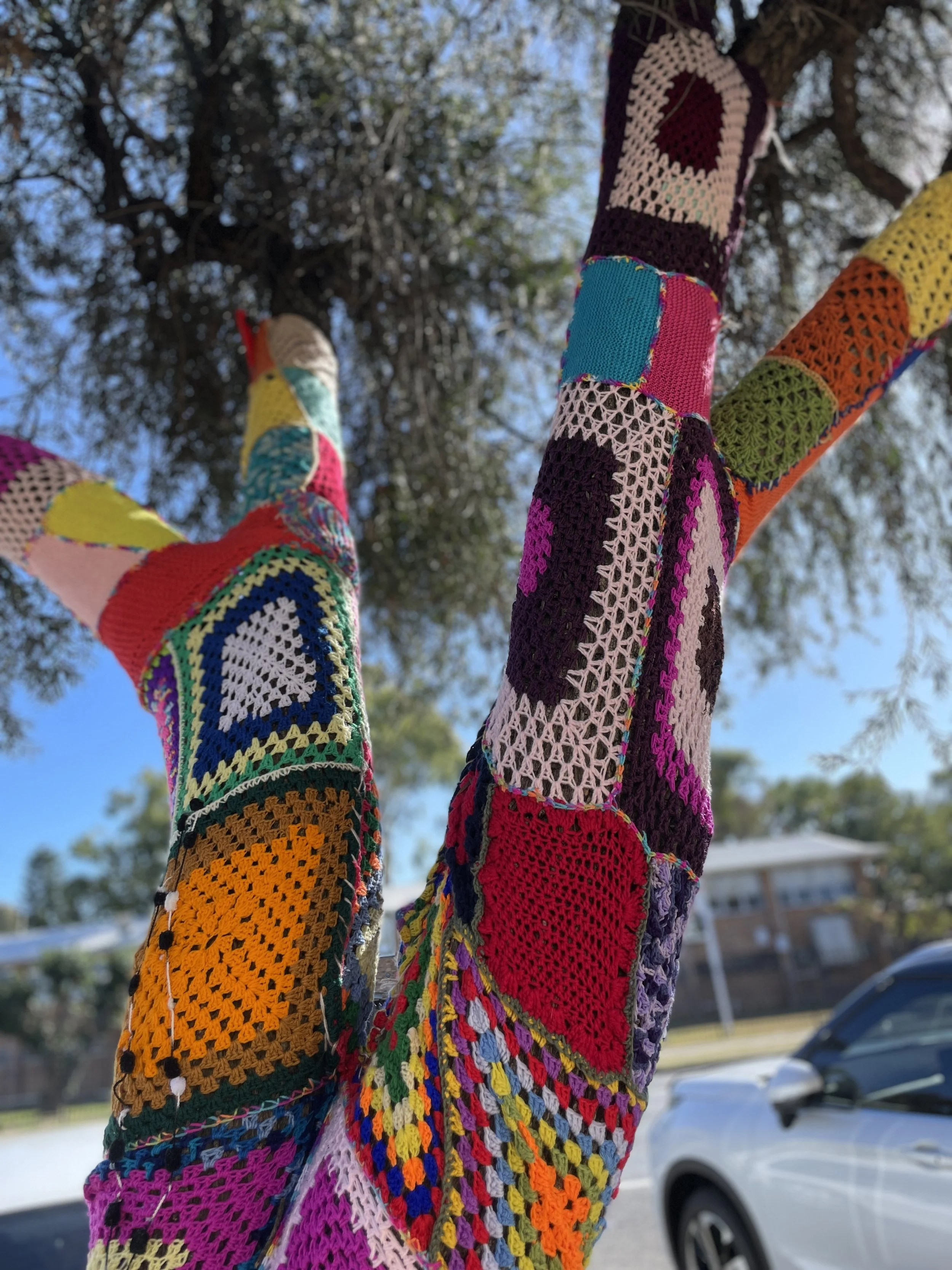 Photo 10-8-2023, 10 04 21 am.jpg