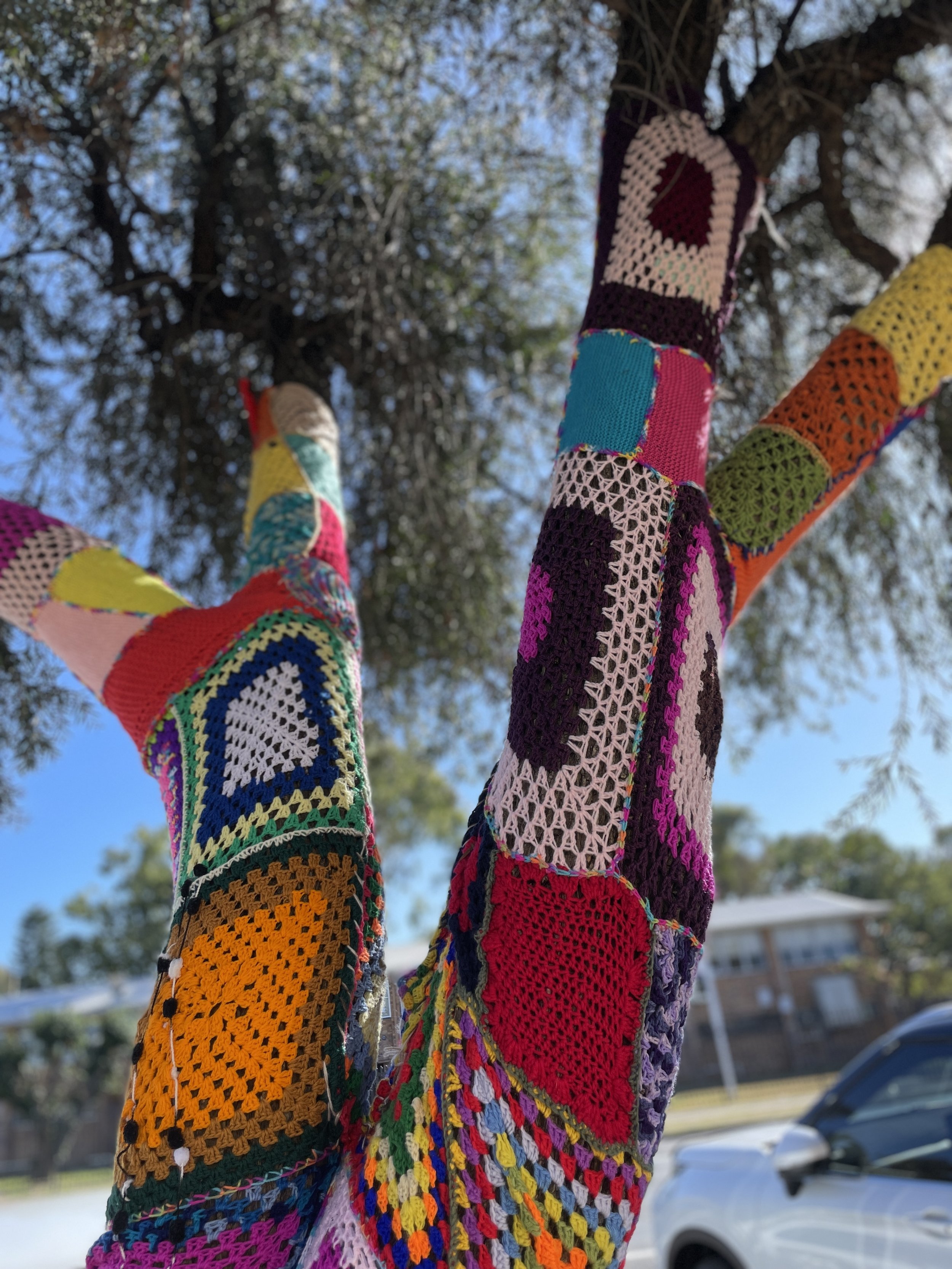 Photo 10-8-2023, 10 04 24 am.jpg