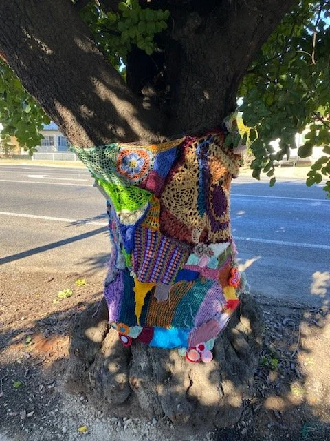 Narrabri YBP (5).jpg