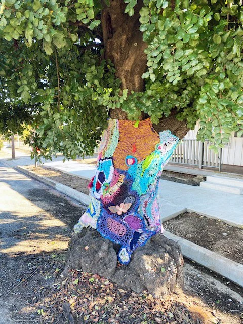 Narrabri YBP (7).jpg