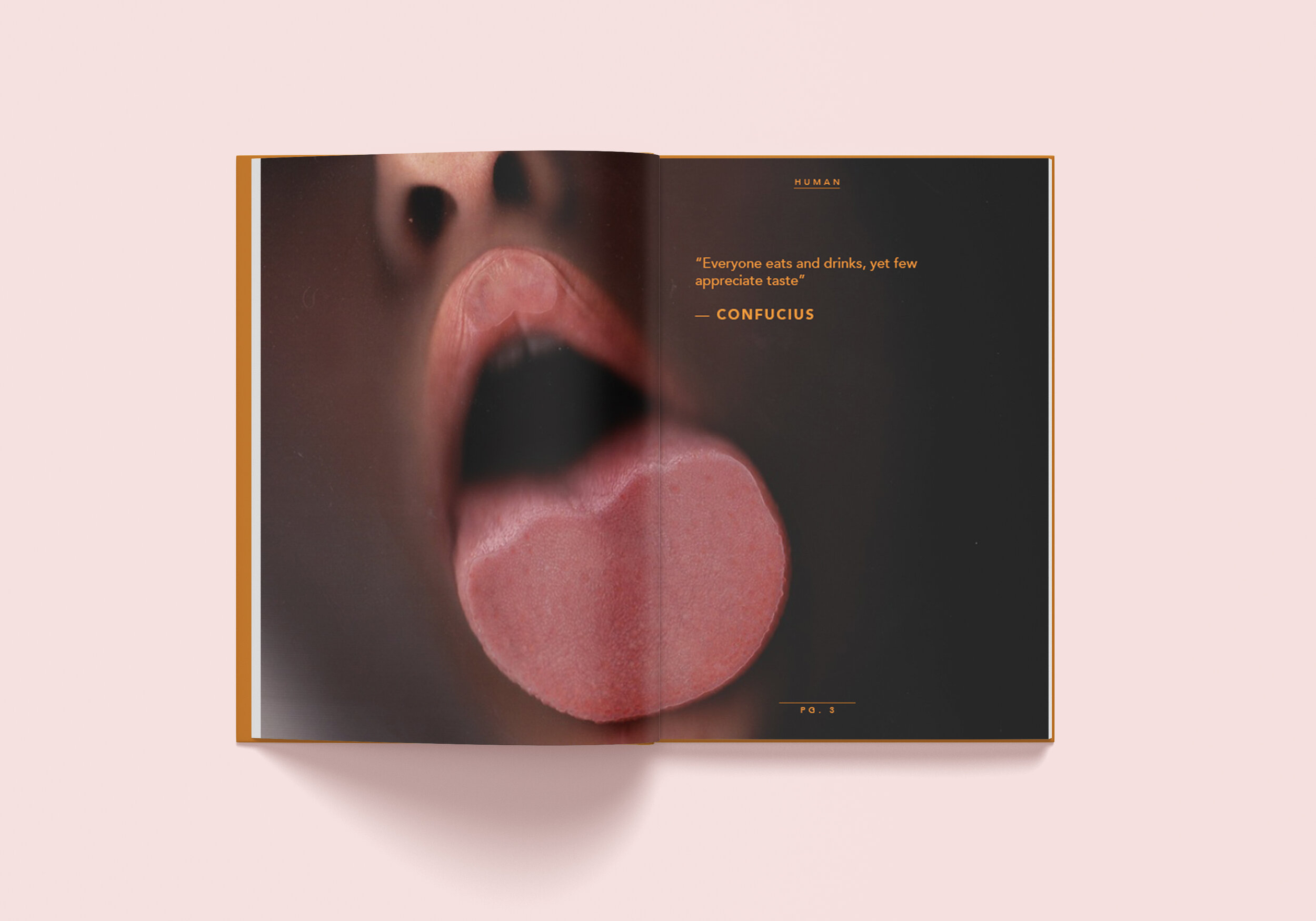 Taste-Book-Spread-1.jpg