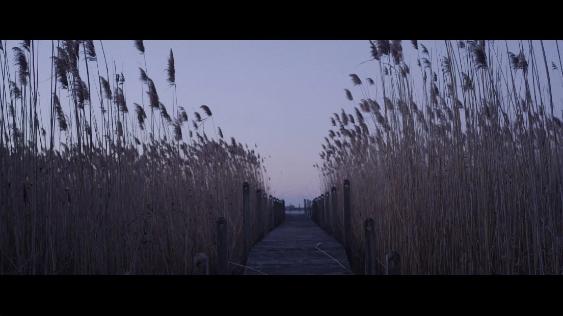 jetty.jpg