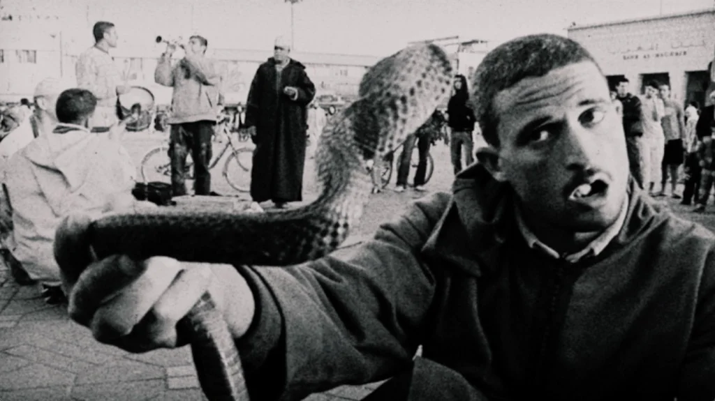 snake charmer.jpg
