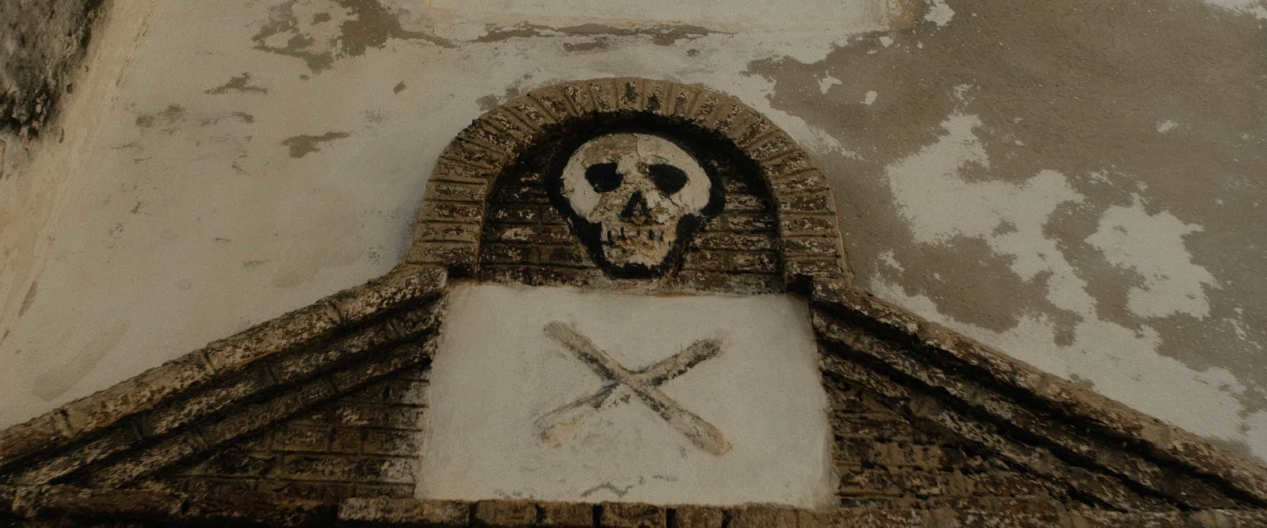 skull.jpg