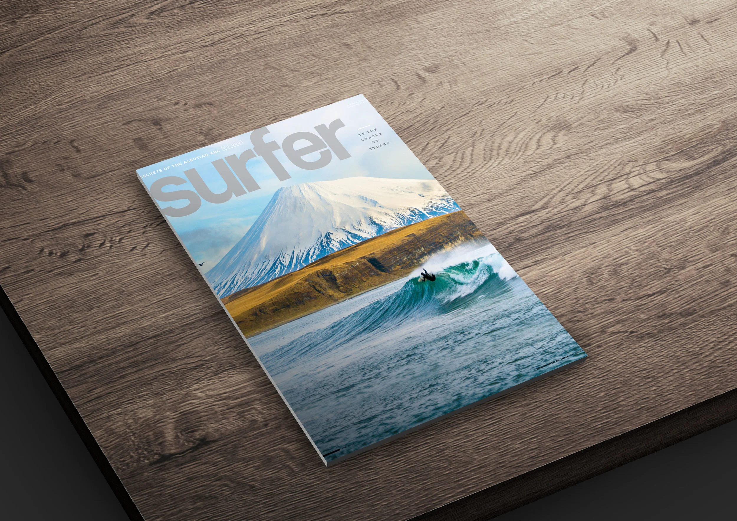 Surfer Magazine \\ View More
