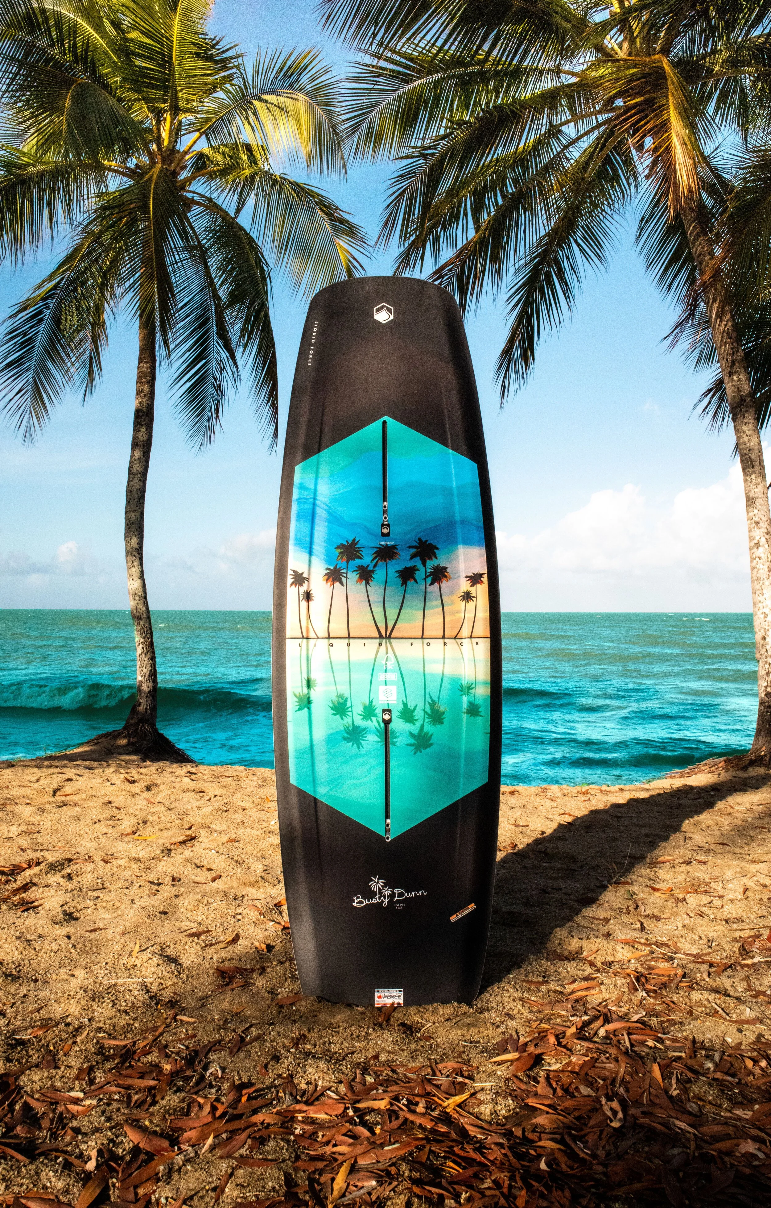 Pro Model Colaboration \\ View More