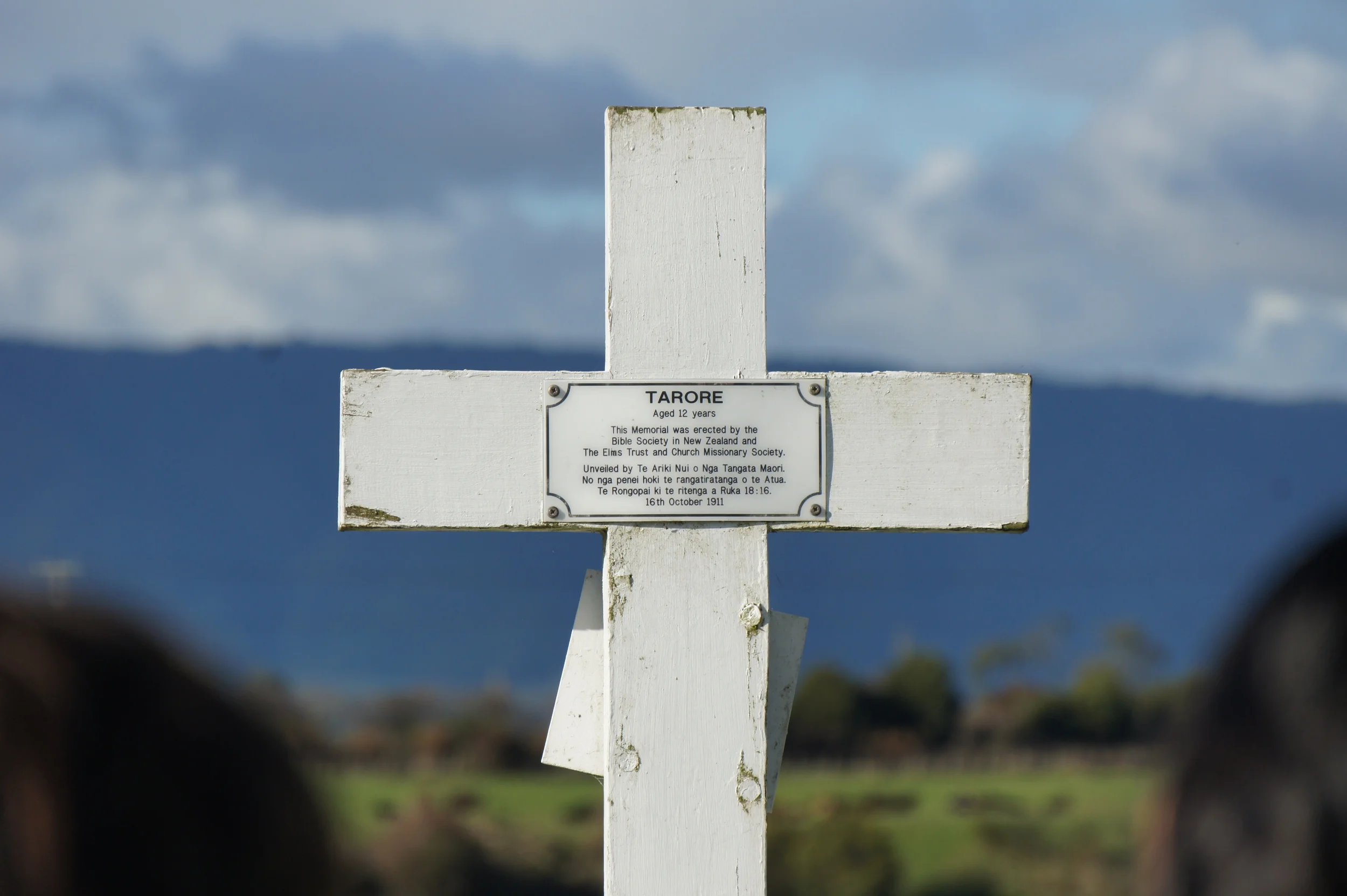 "From childhood you have known the sacred writings"