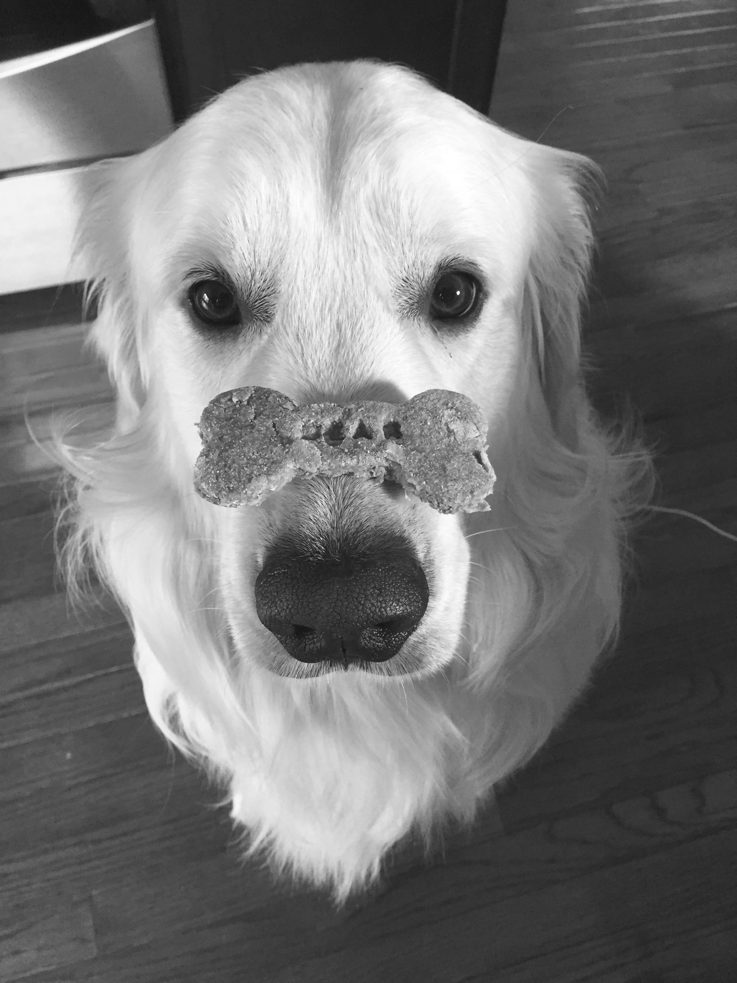 these are a different kind of "are you kidding me!?" eyes.