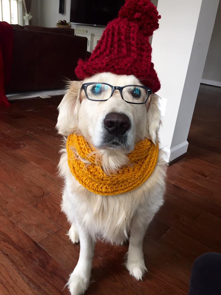 This hipster is important to me. No matter how pretentious he gets sometimes. 