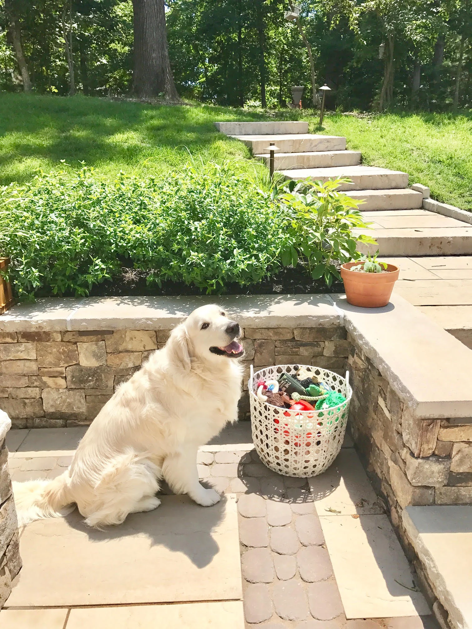 he seems quite pleased with his new outdoors organization.