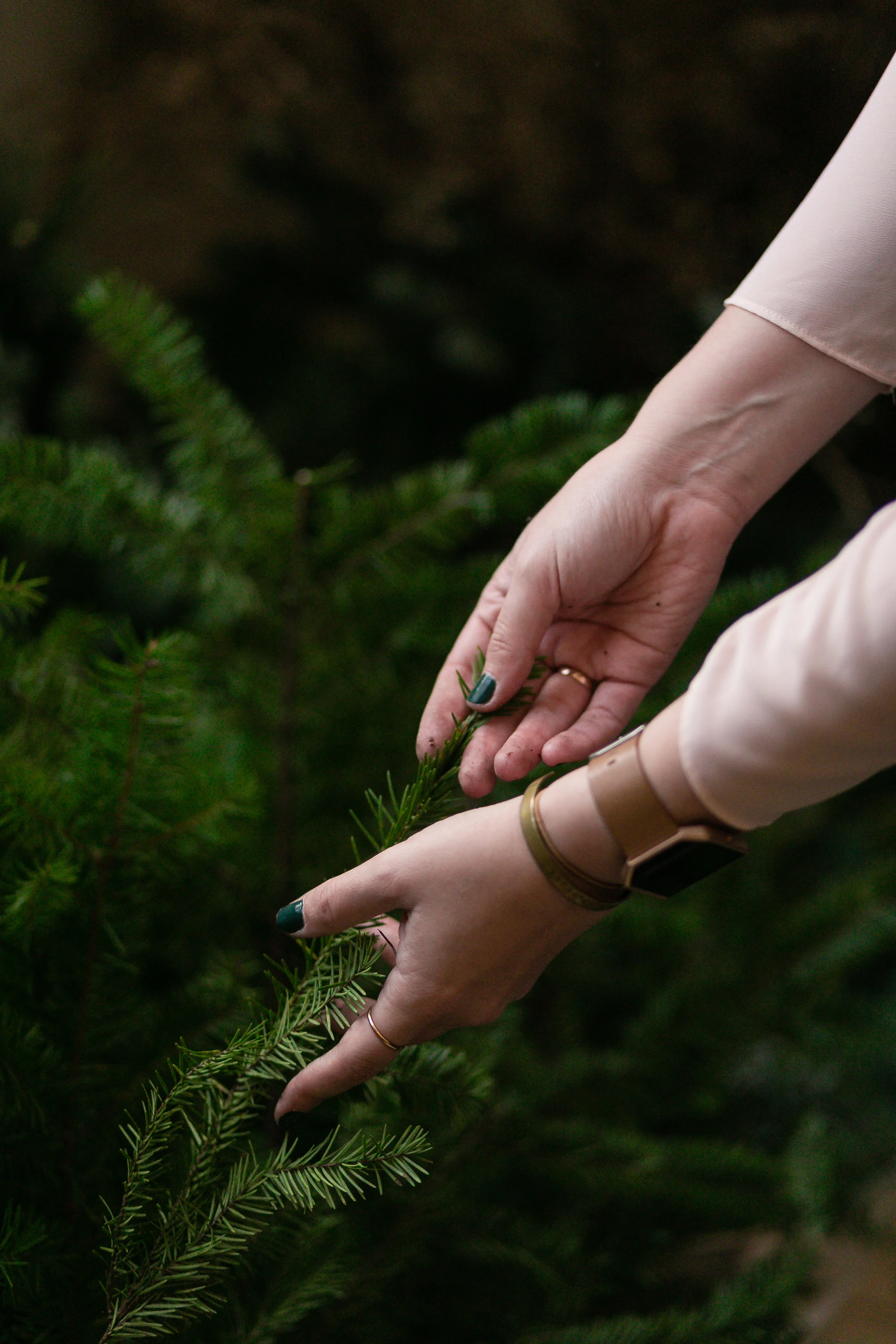 wreath-workshop-121.jpg