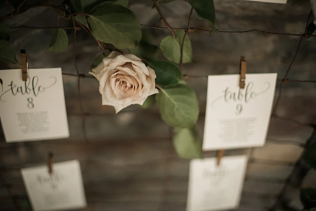 Sarah&Shawn-596.jpg