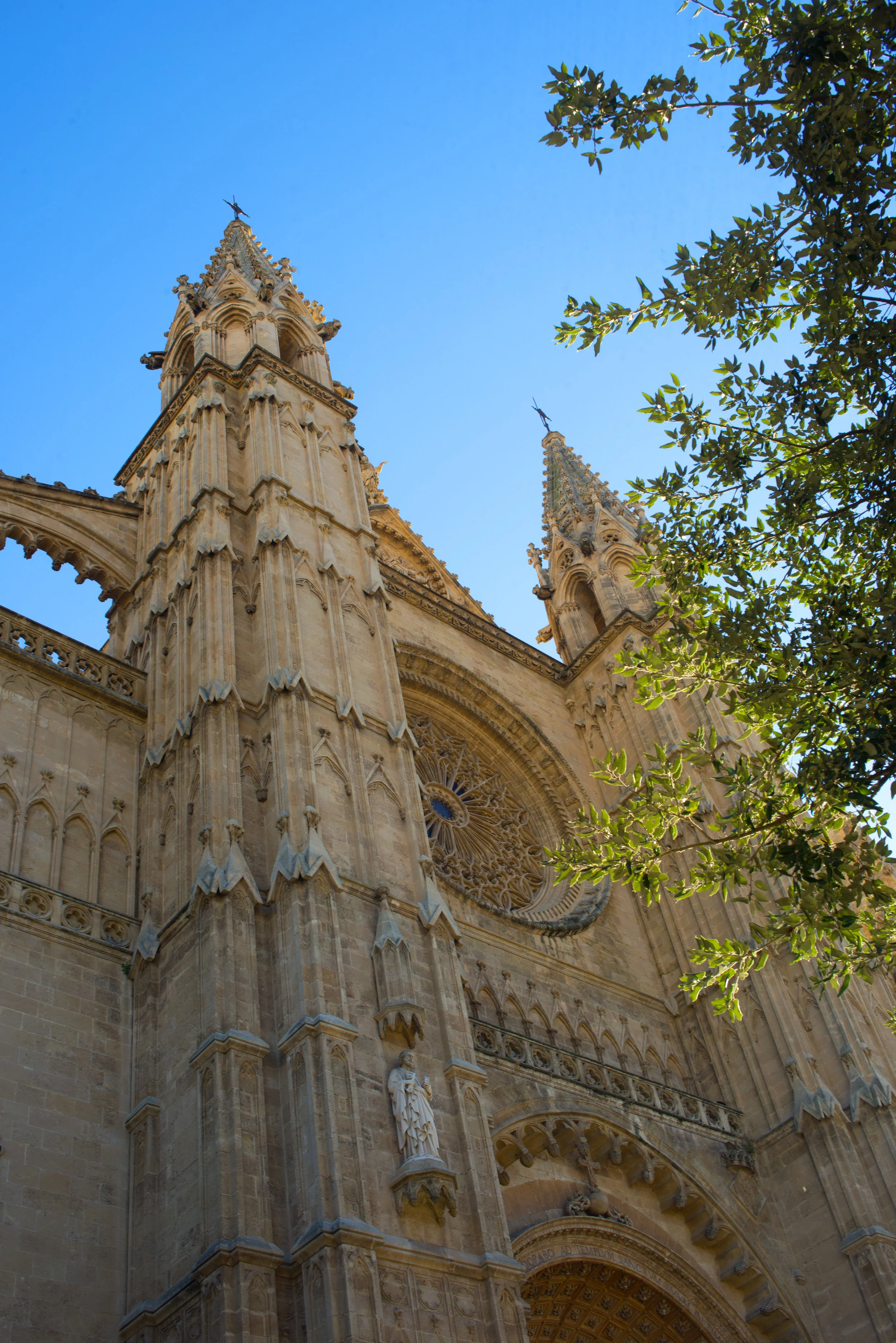 Front of the Cathedral of Santa Maria of Palma, Mallorca Spain.