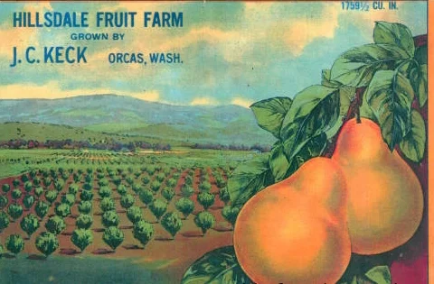 label.jpg