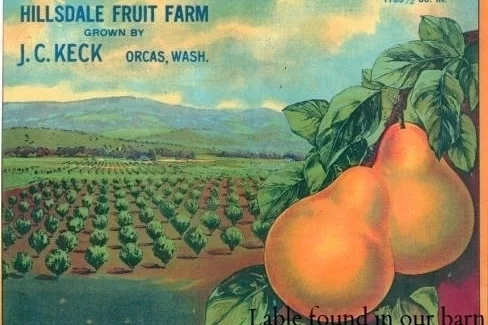 label.jpg