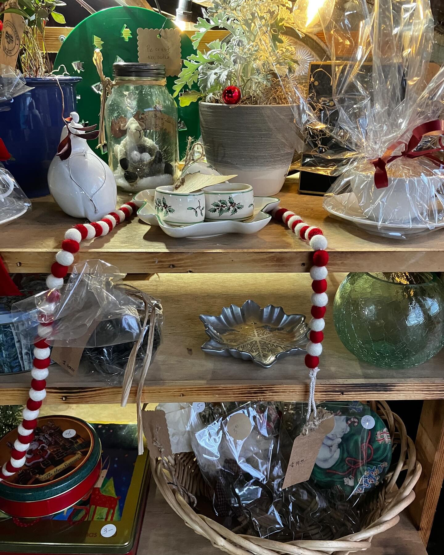 Last minute gift ideas! We are open today until 2pm if you want to brave the wild and windy weather.