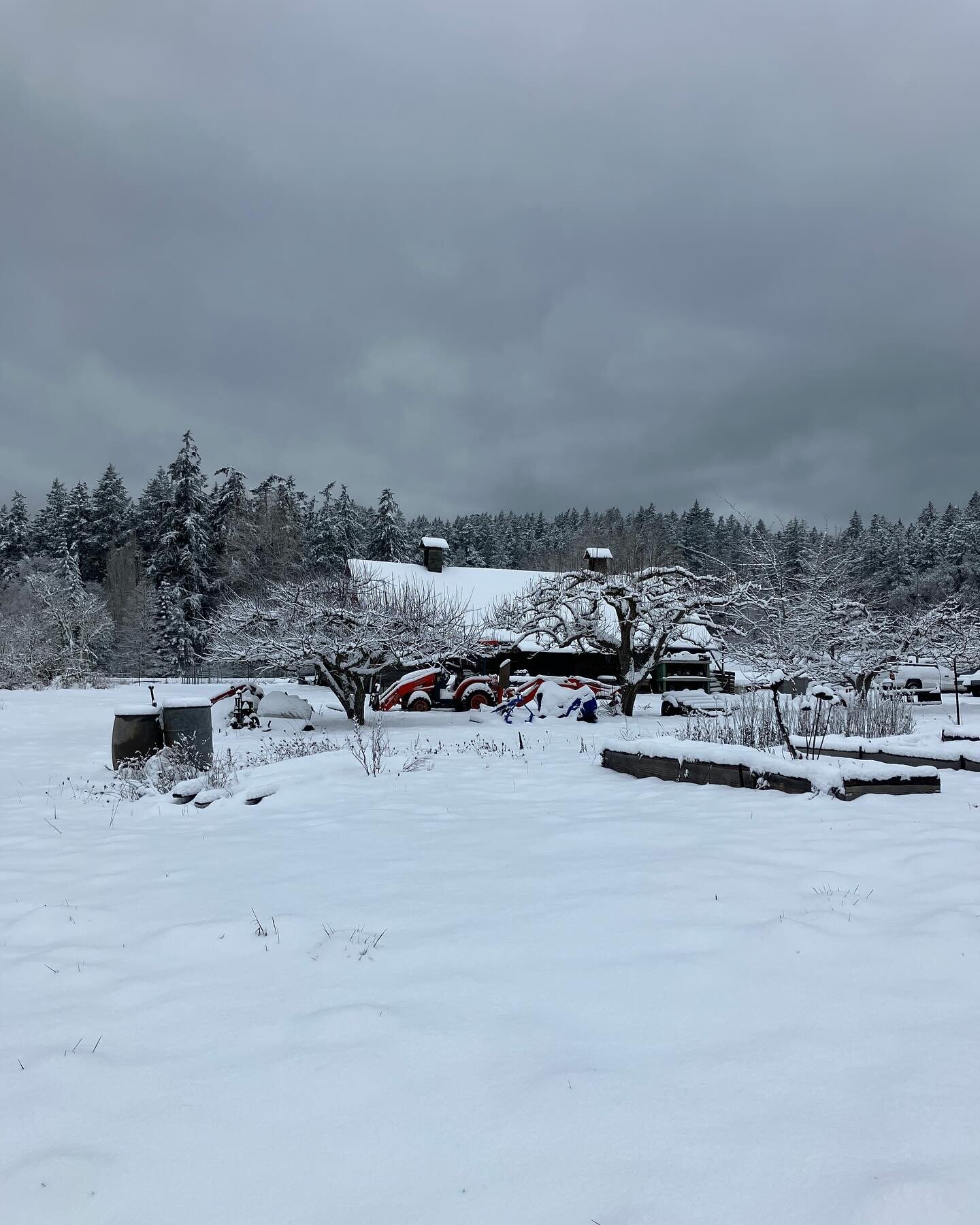 First snow of the year yesterday. The farmyard was frosted and frozen, and so peacefully beautiful.