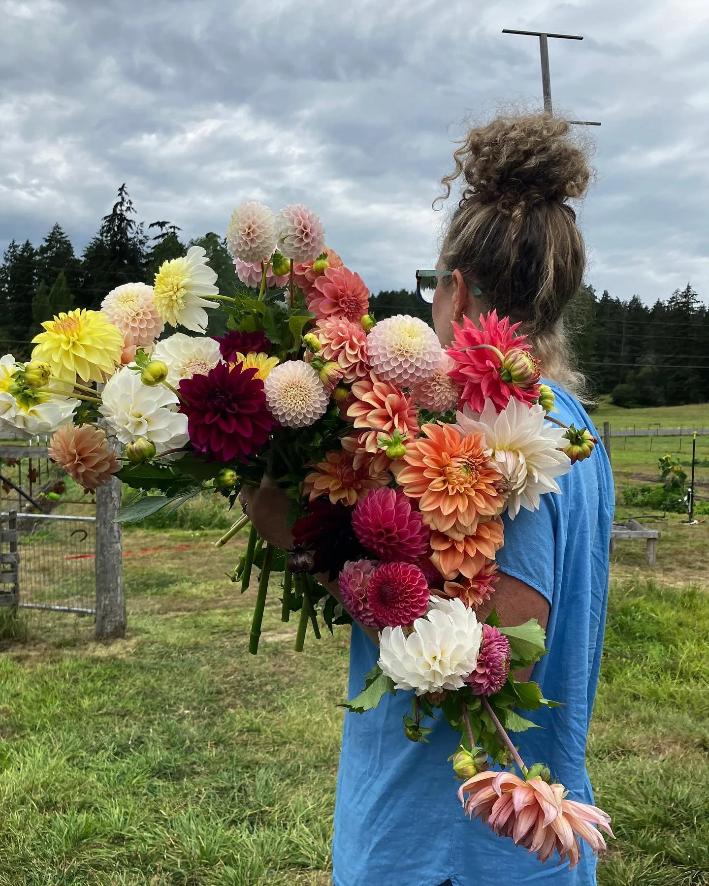 Late summer lusciousness from the fields of Warm Valley Farm.