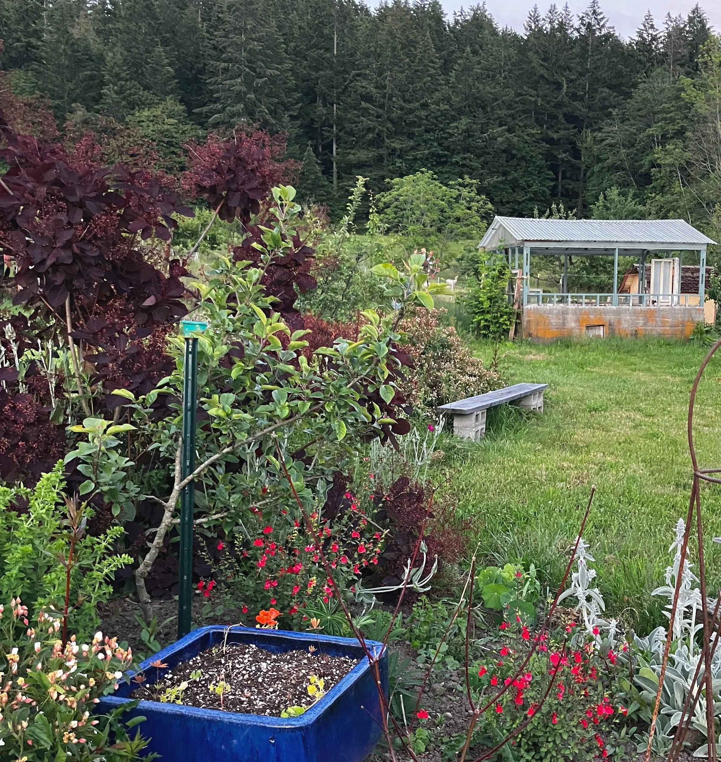 Orcas Island Garden Tour - Garden "A"