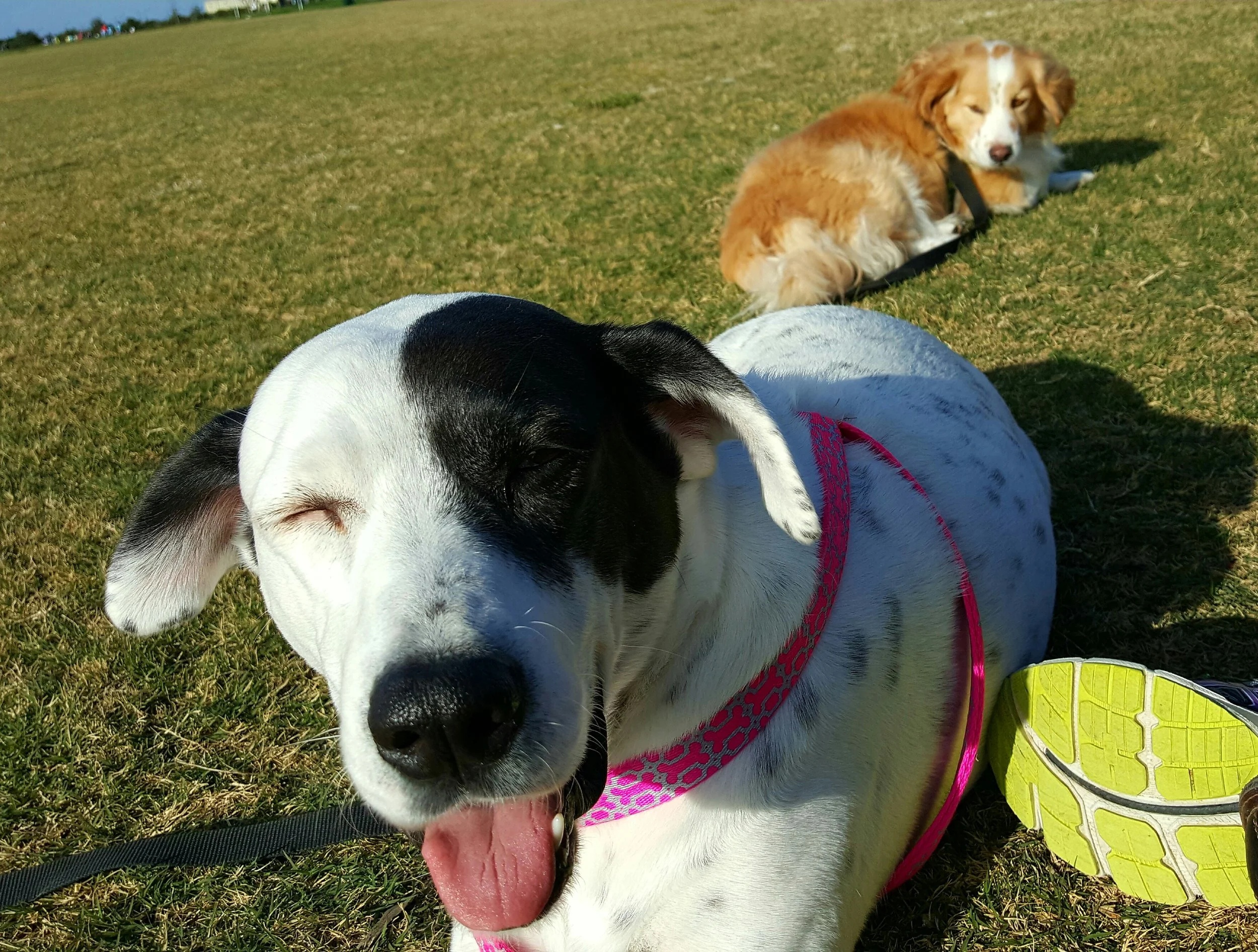 20160420_170216 copy.jpg