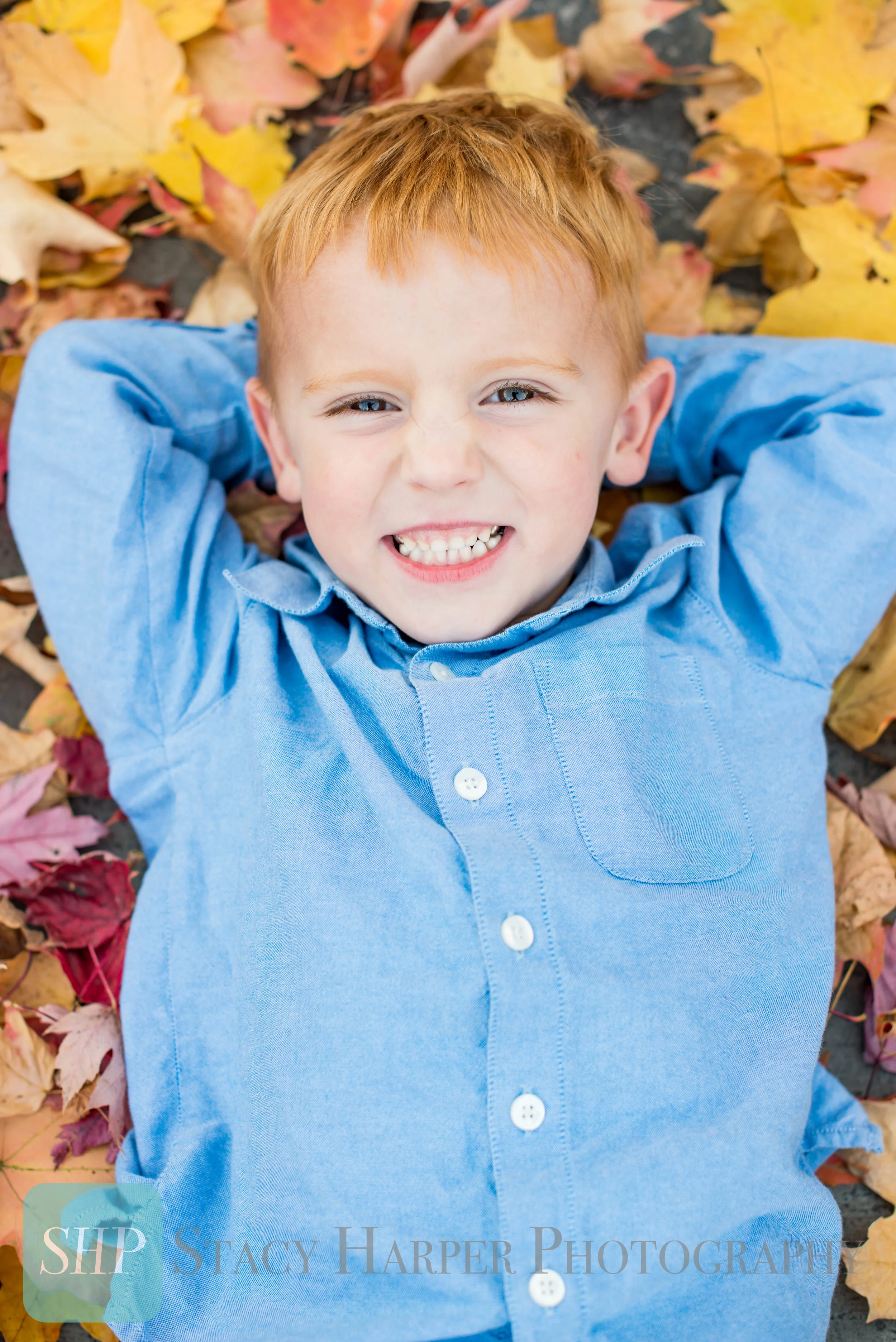 Nielsen Fall 2016-0088(Web).jpg
