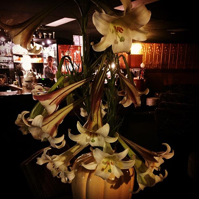 Lily was here #lily #cocktail #cocktailbar #nambour #yesitsinnambour #sunshinecoastbars #sunshinecoast #nambourbynight