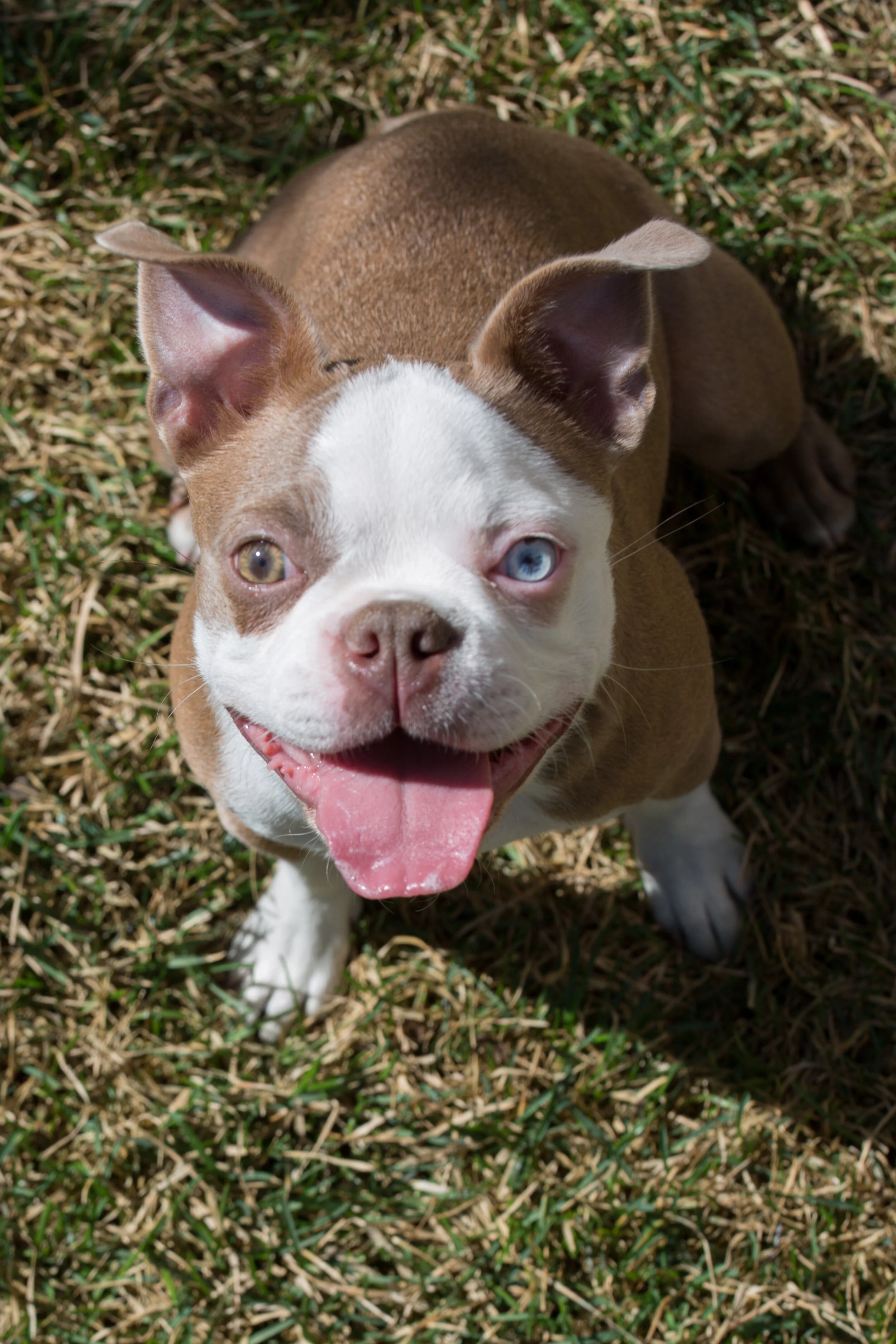 Porch Portraits-16.jpg