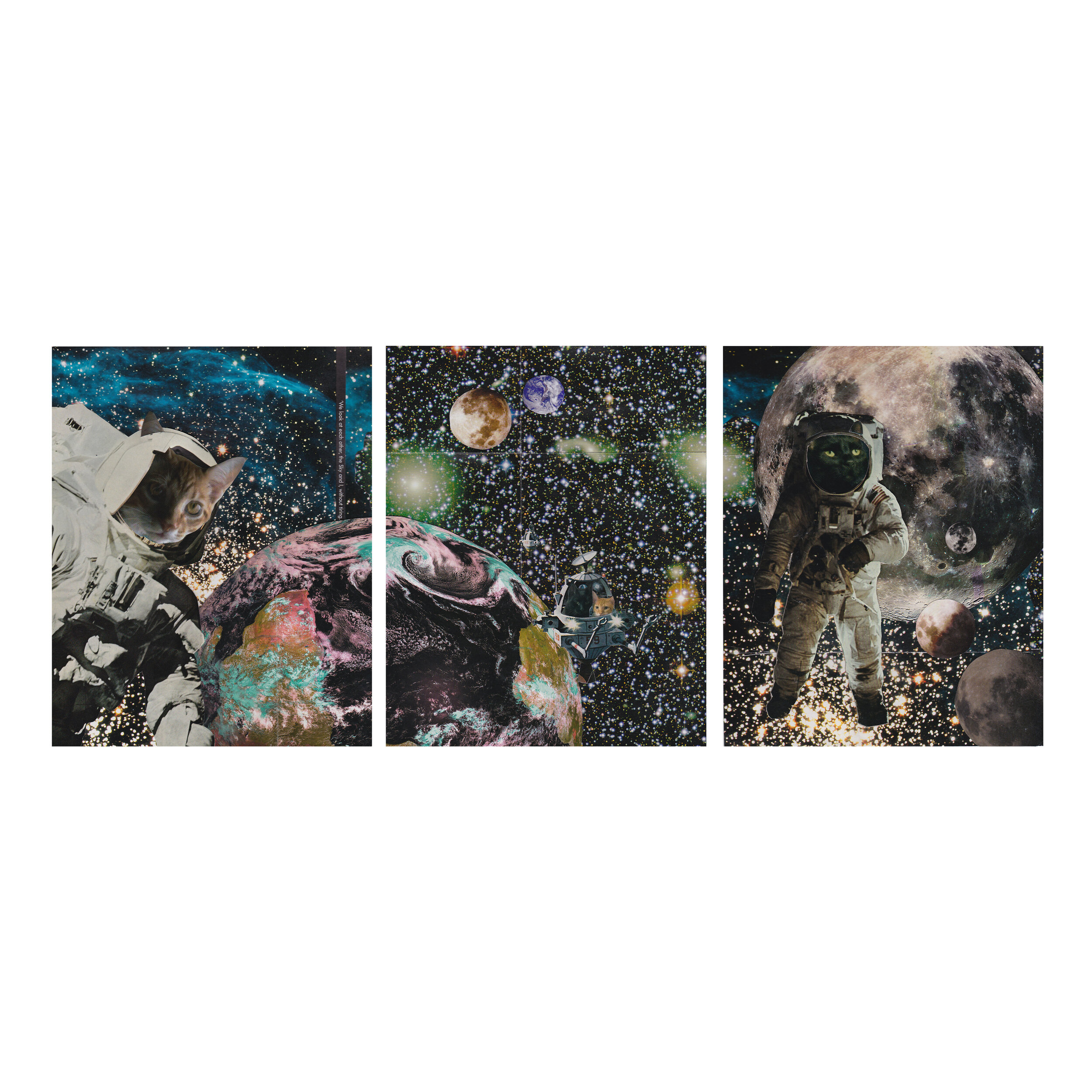collage.jpg
