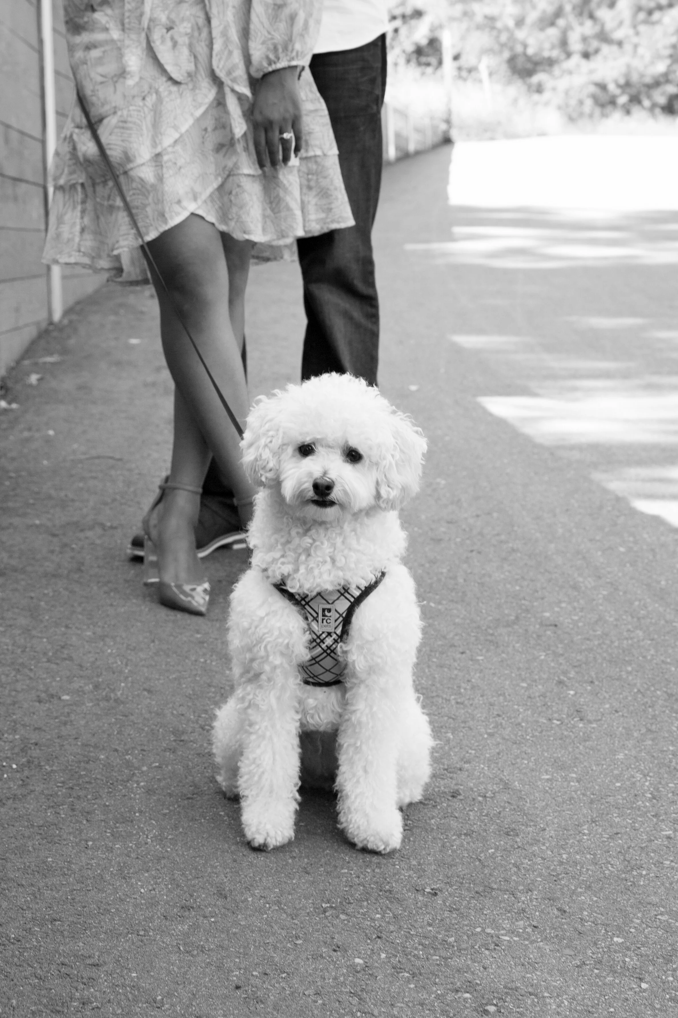 Ajanth & Nikesha Engagement-33.jpg