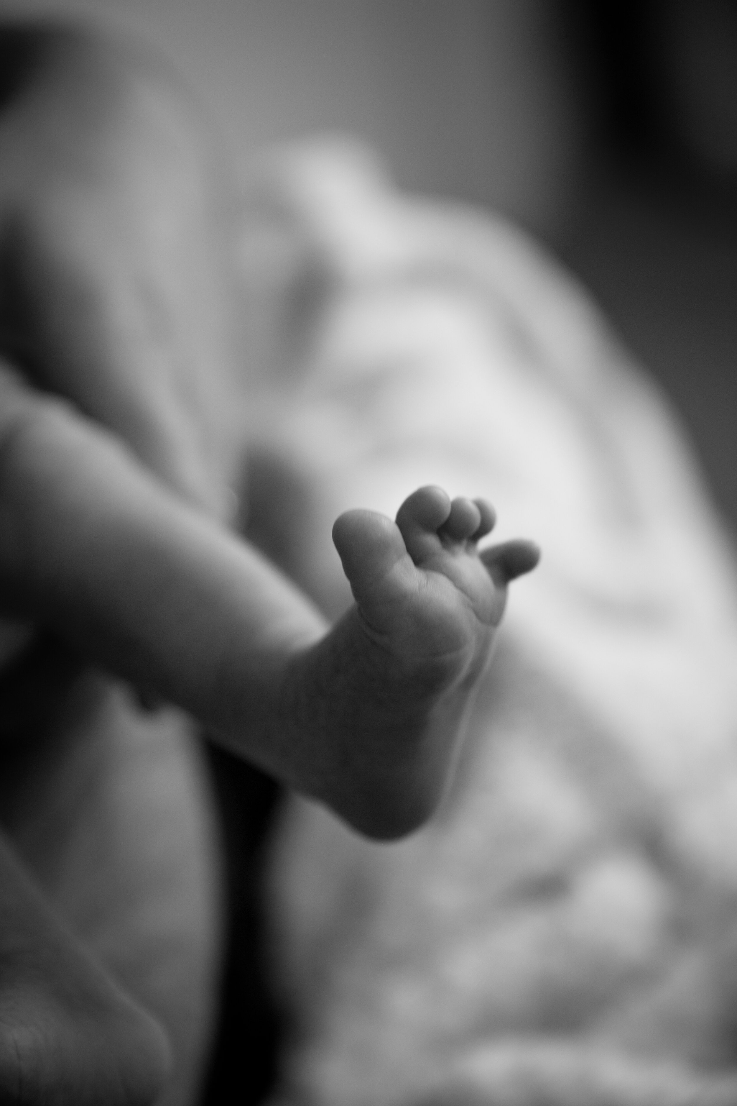 Baby Stack-12.jpg
