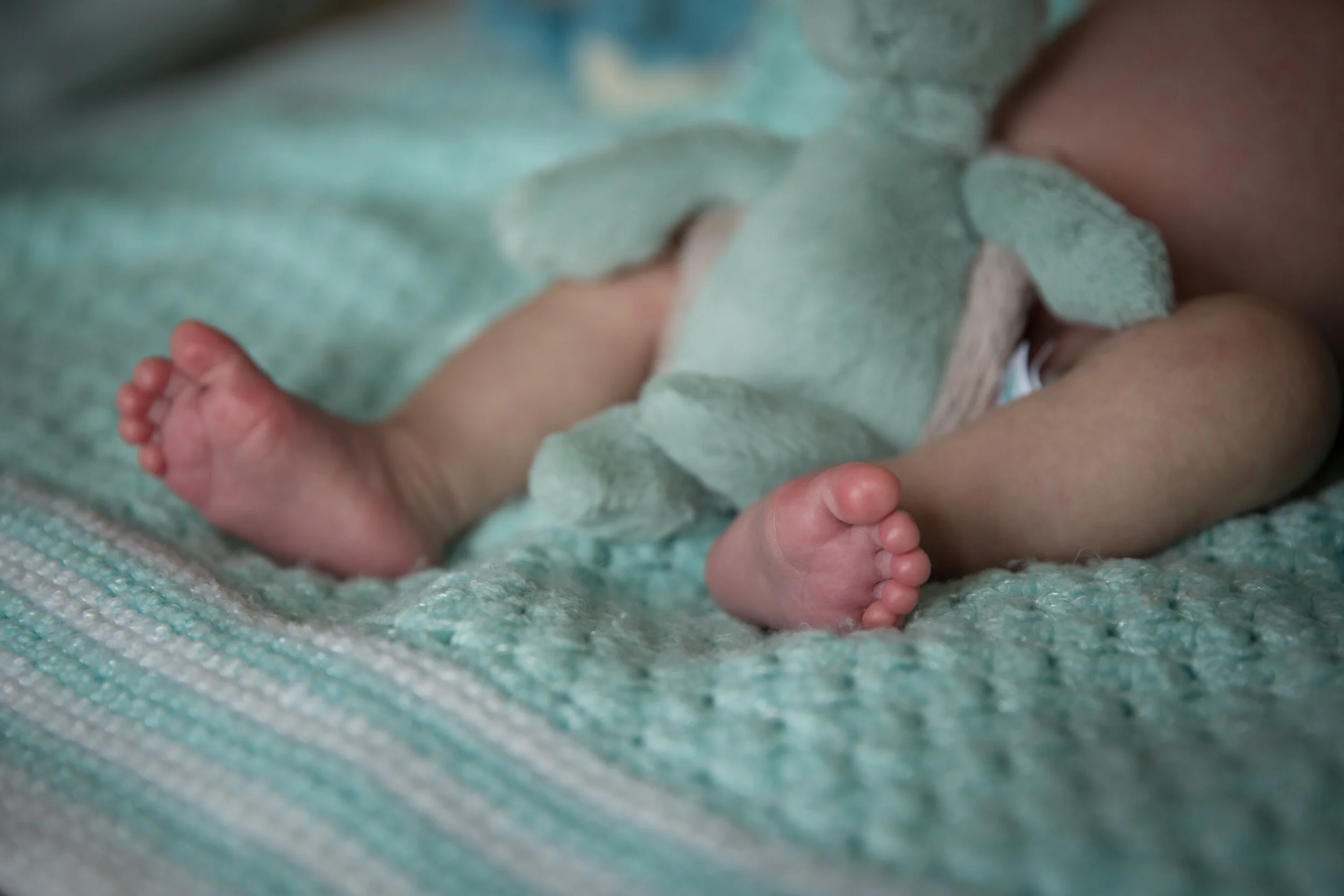 Nick Jocelyn Athena-8.jpg