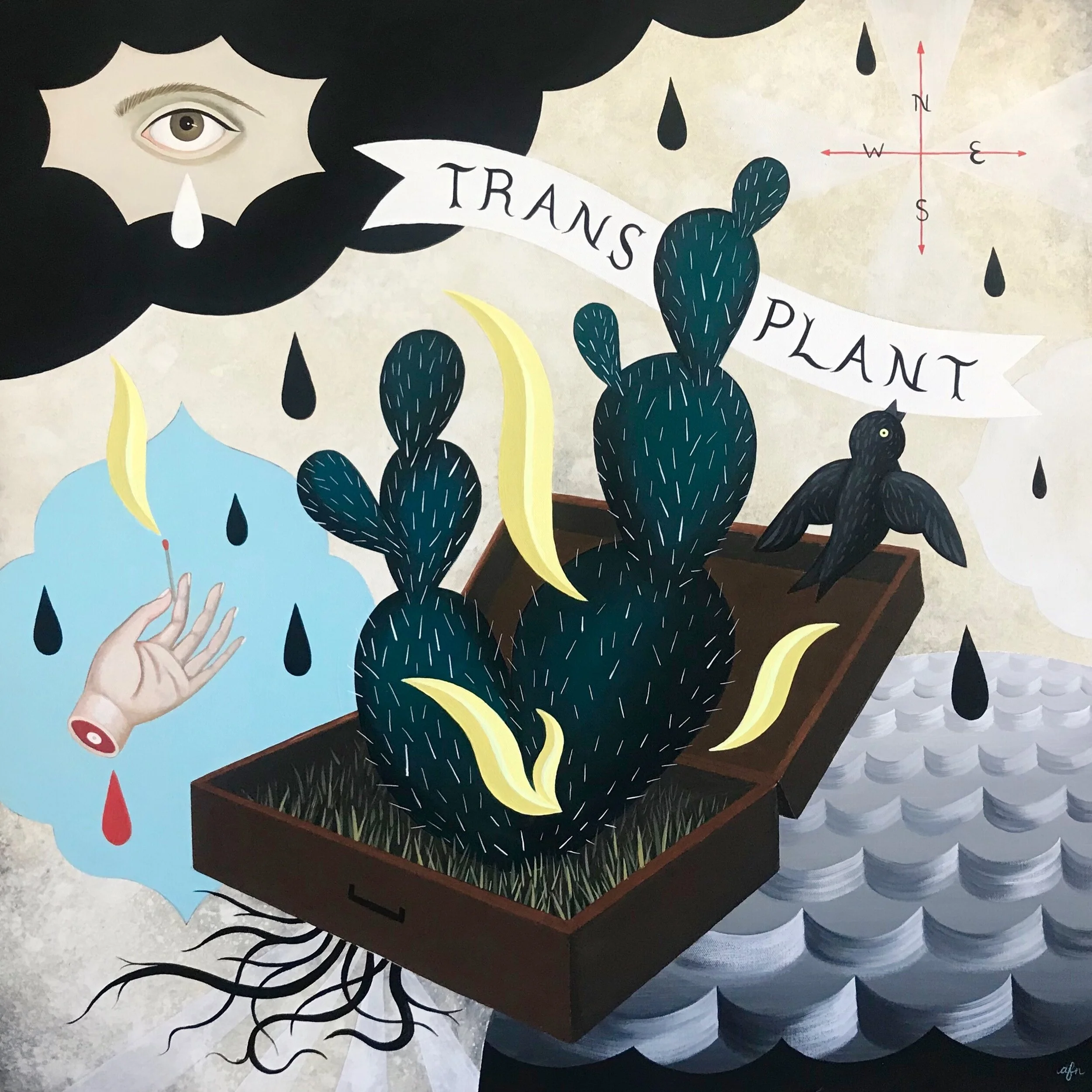 Transplant
