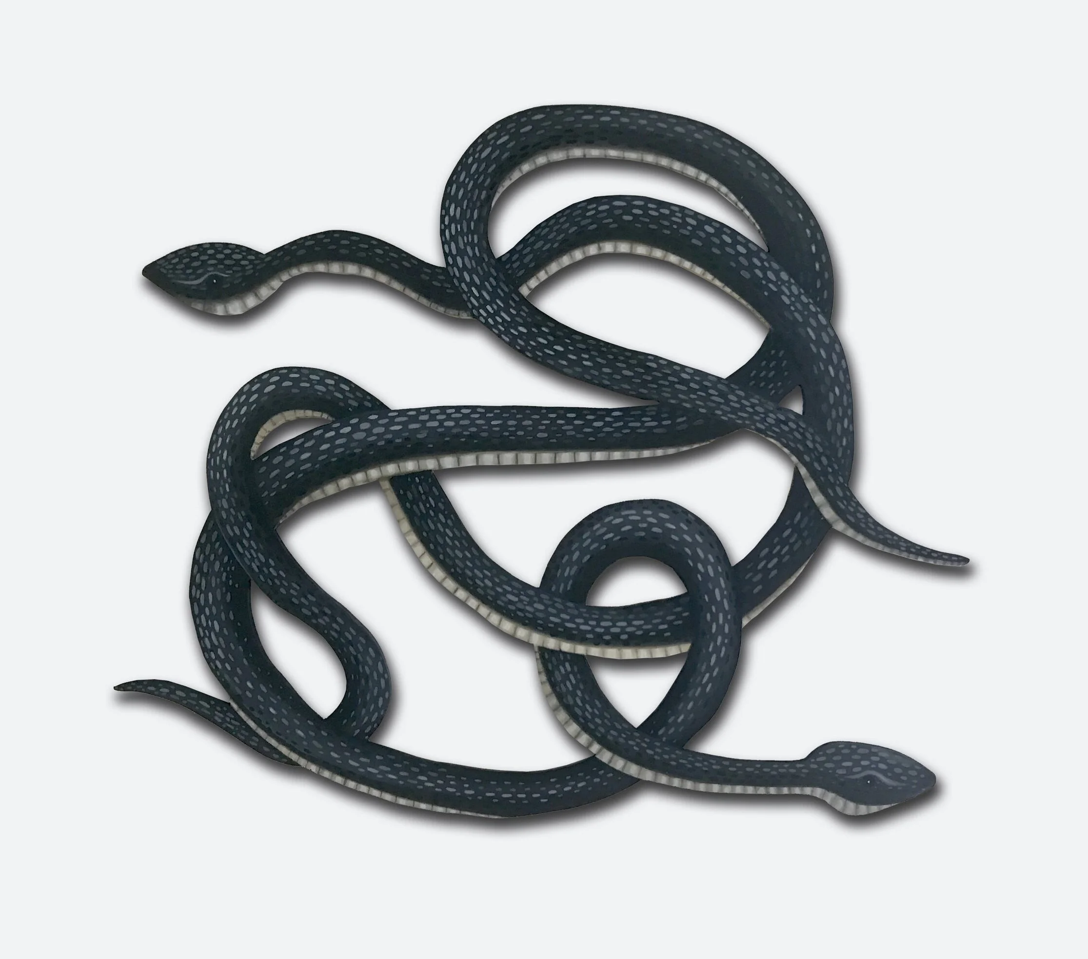 Tangled Snakes